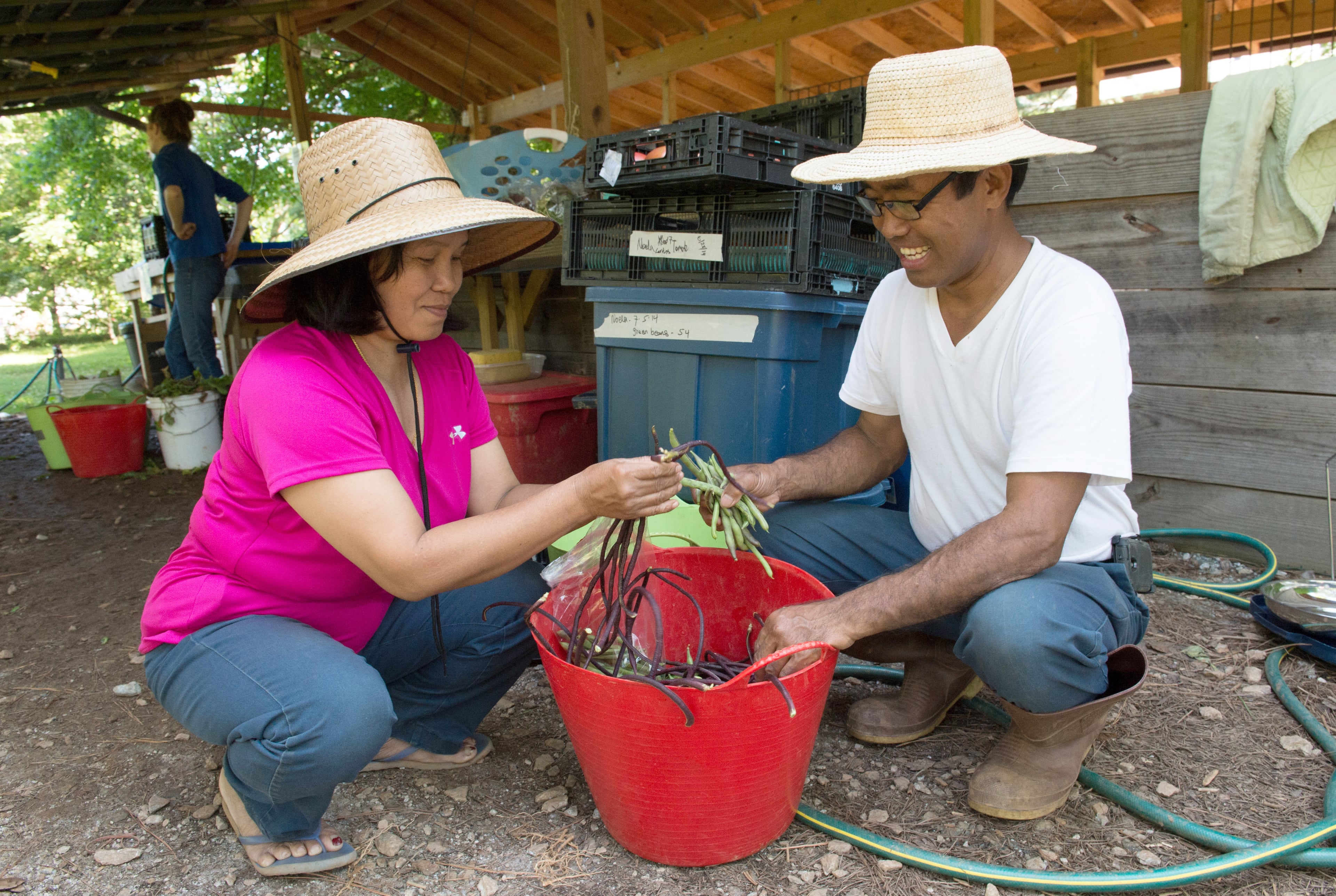 Ignatius Than and his wife Noela Men, Global Growers farmers who are originally from Burma, clean vegetables at Bamboo Creek Farm in Stone Mountain on Saturday, July 5, 2014. HYOSUB SHIN / HSHIN@AJC.COM