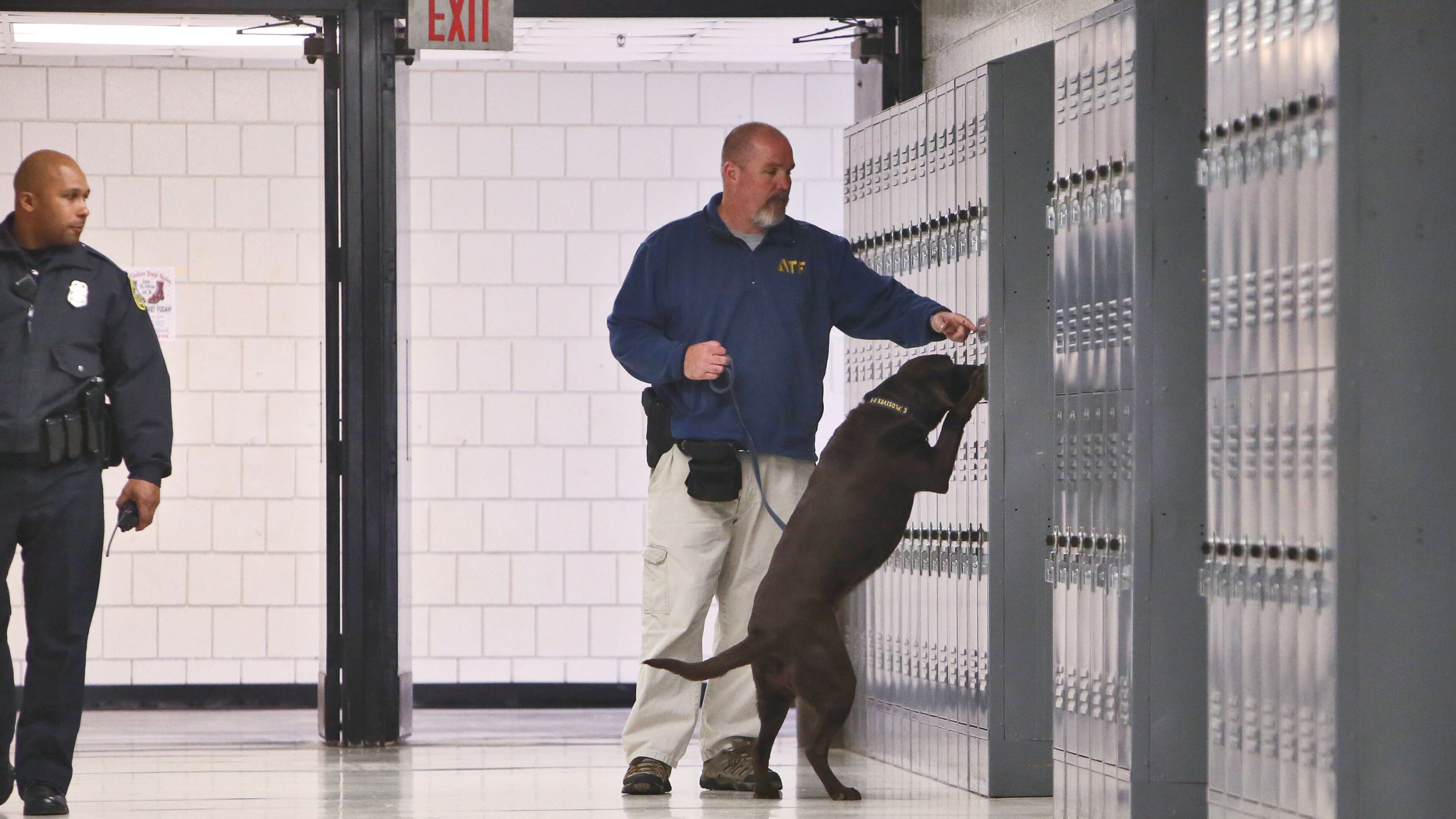 ATF Special Agent Brett Bowers guides "Glow", trained to find explosives, on a search for guns and explosives in lockers at Riverdale High School.