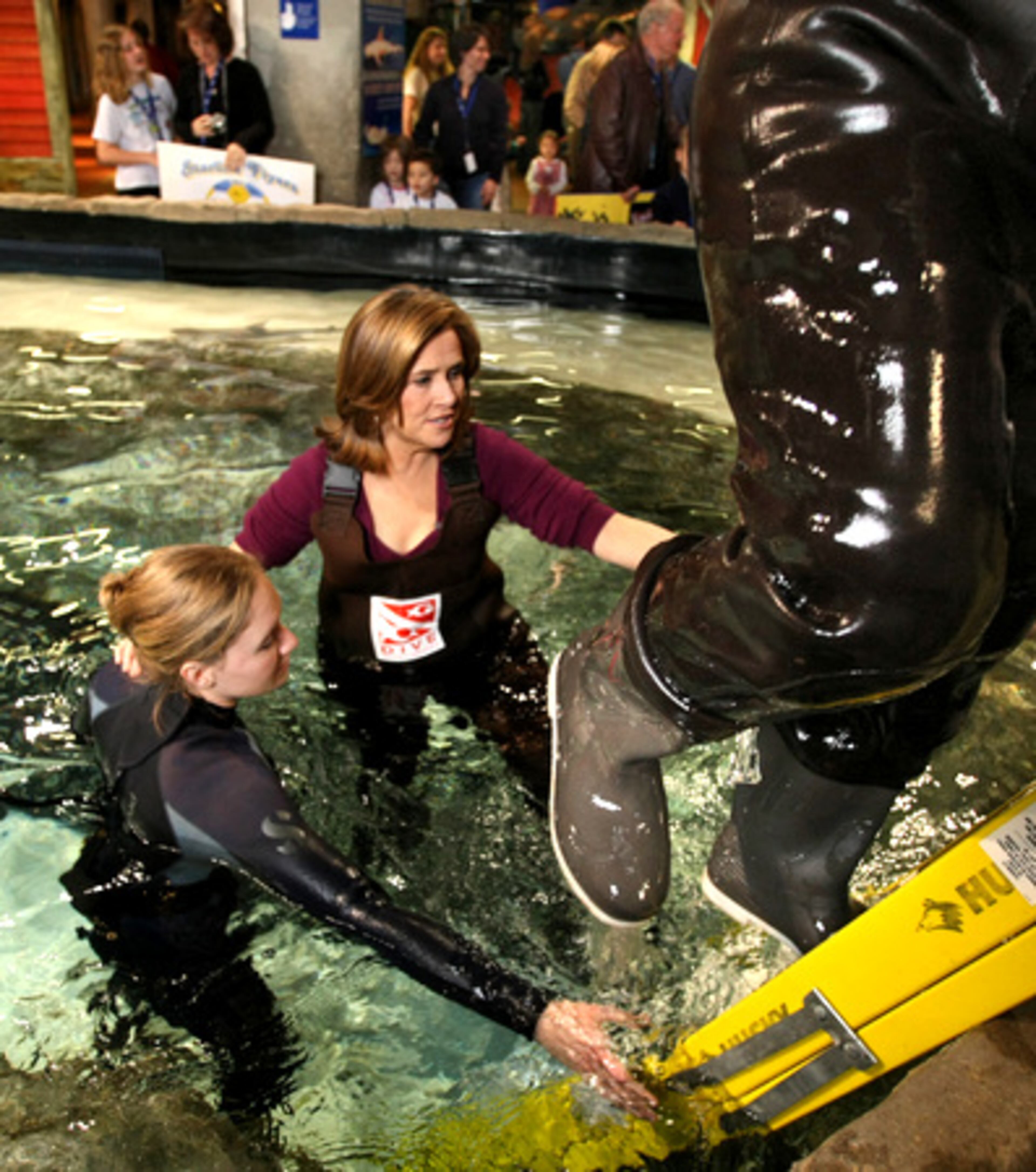Helped by diver Sarah Murray, Meredith Vieira emerges from the stingray touch tank. 'The Today Show' with Meredith Vieira and Al Roker did their show from the Georgia Aquarium Tuesday.