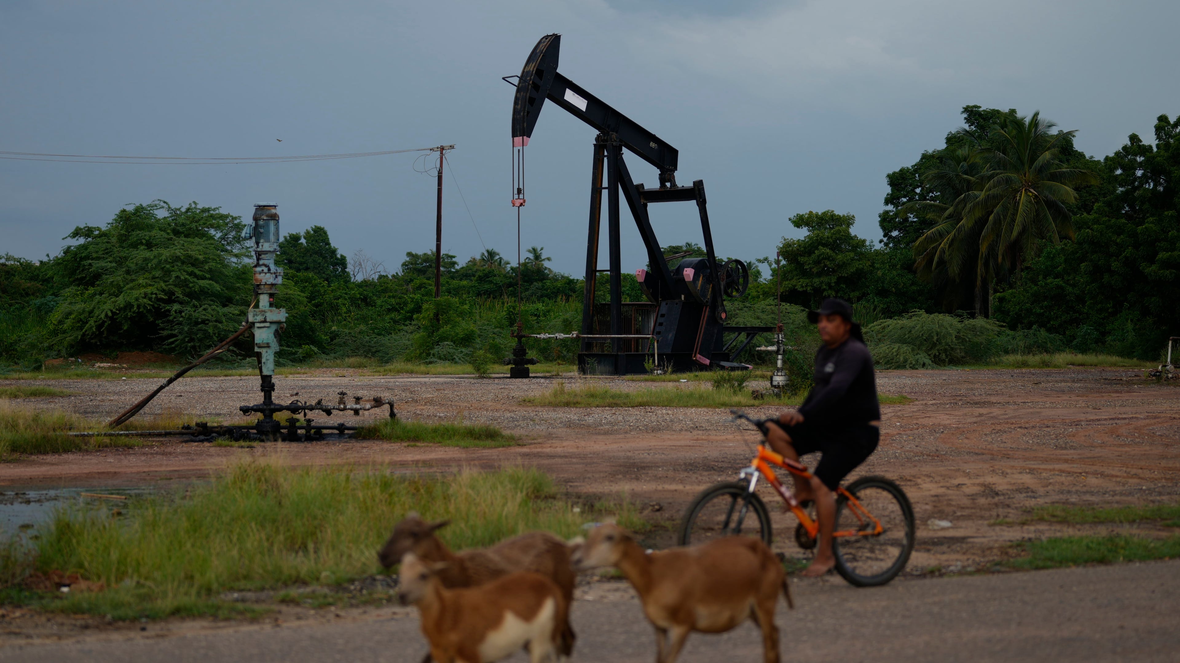 A man rides past an operating oil pumpjack in Cabimas, Venezuela, Monday, Aug. 31, 2026. (AP Photo/Ariana Cubillos)