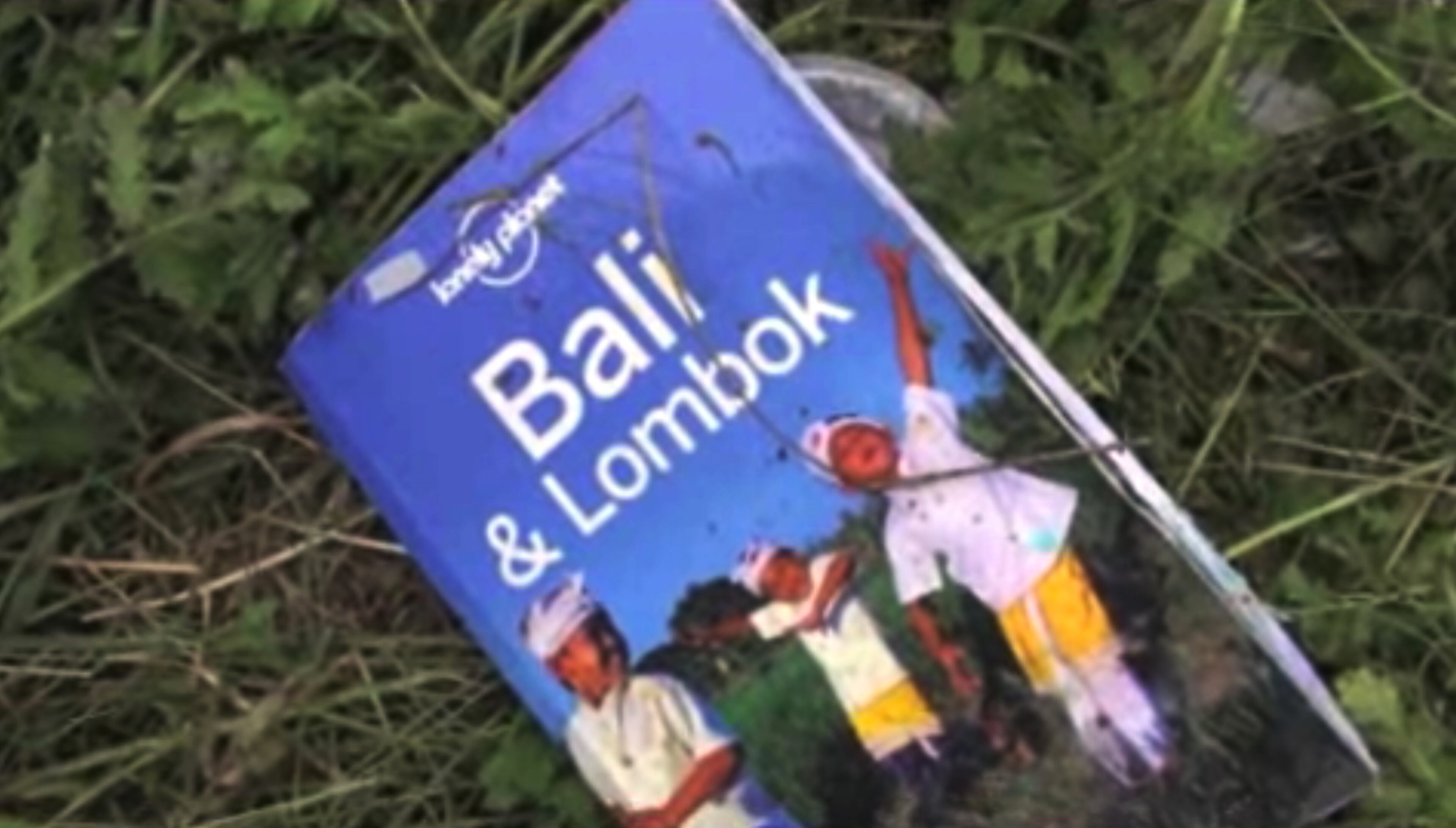 This image taken from video, Thursday July 17, 2014, shows a guidebook found in the wreckage of a passenger plane carrying 295 people after it was shot down Thursday as it flew over Ukraine, near the village of Hrabove, in eastern Ukraine. Malaysia Airlines tweeted that it lost contact with one of its flights as it was traveling from Amsterdam to Kuala Lumpur over Ukrainian airspace. (AP Photo/Channel 1)