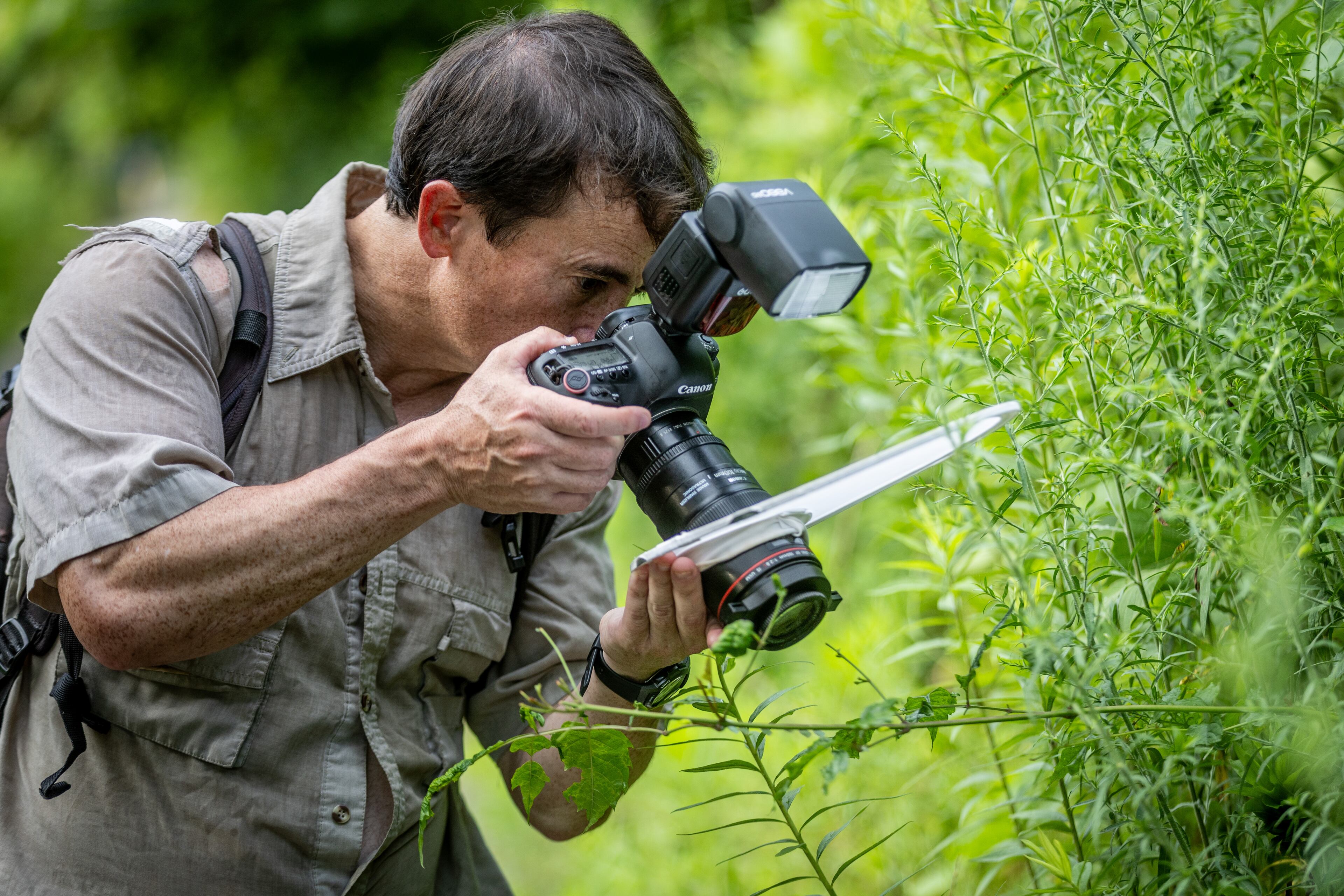 Photographer Kevin Gaston takes an image of an Oncometopia orbona, or Broad-headed Sharpshooter, at Piedmont Park in Atlanta on Saturday, July 1, 2023. (Steve Schaefer/steve.schaefer@ajc.com)