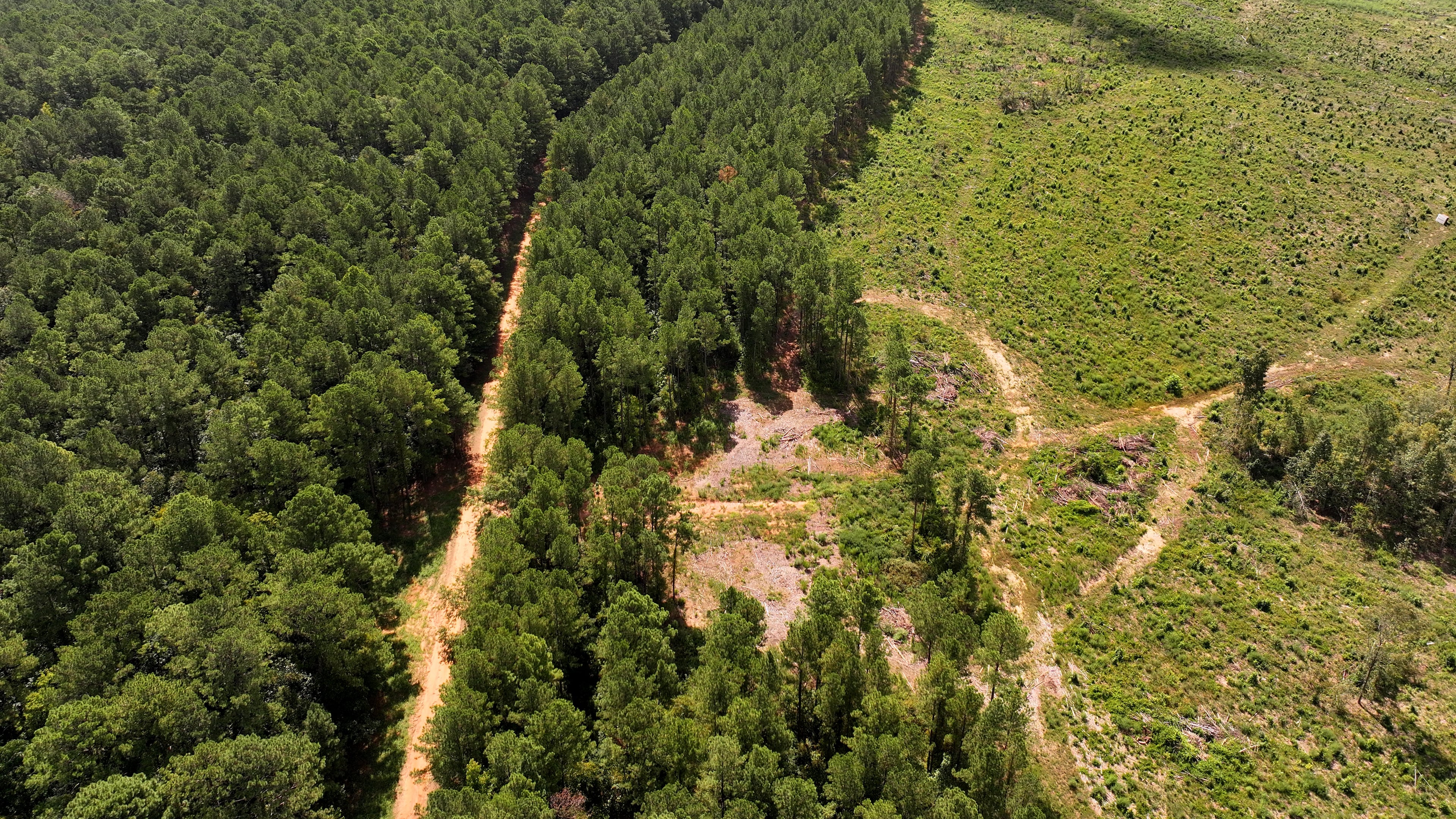 An aerial photograph shows Oaky Woods Wildlife Management Area (left) and proposed property where a solar farm was planned (right), on Tuesday, August 26, 2024, in Kathleen. (Hyosub Shin/AJC)