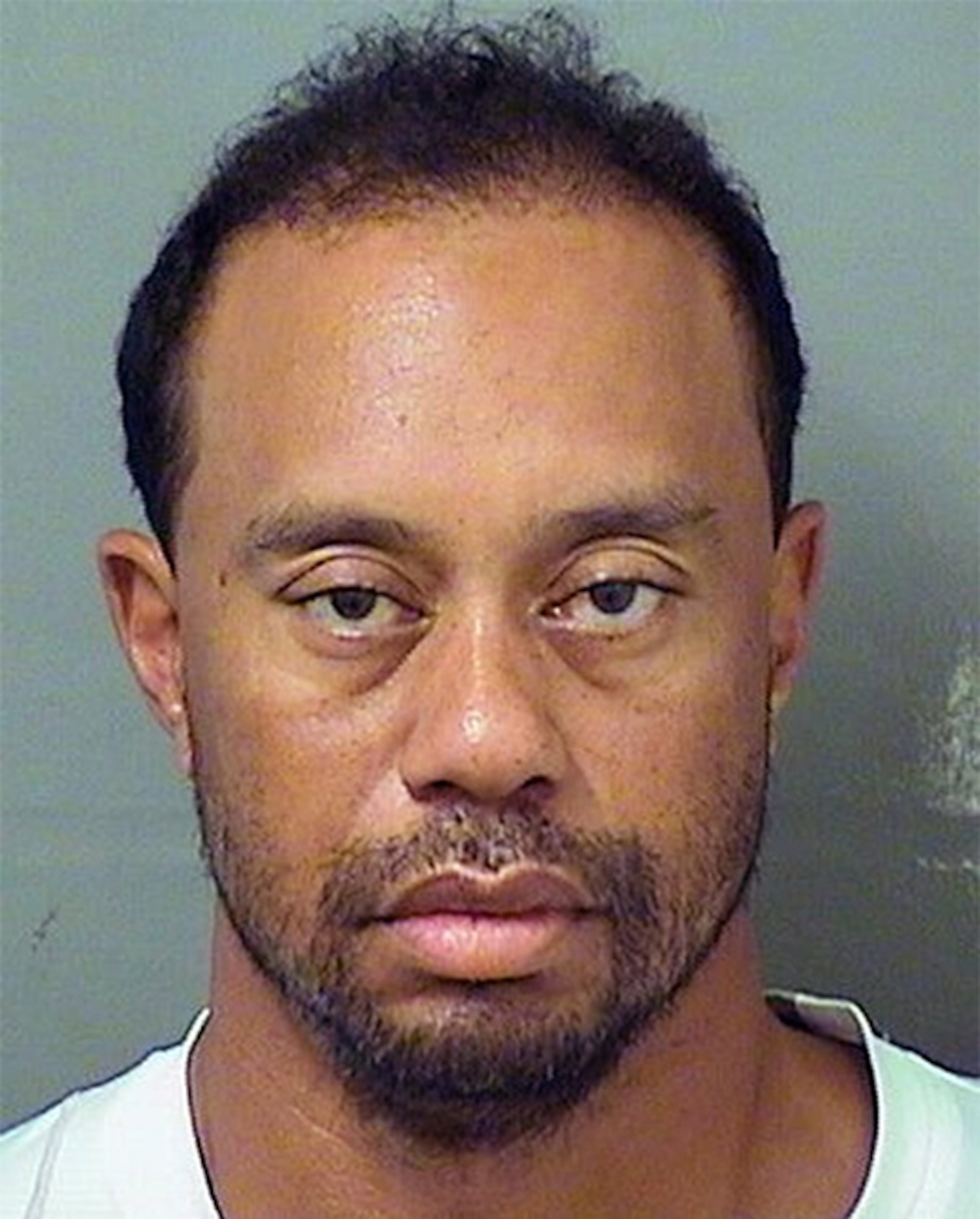 JUPITER, FL - MAY 29: (EDITORS NOTE: Best quality available) In this handout photo provided by The Palm Beach County Sheriff's Office, golfer Tiger Woods is seen in a police booking photo after his arrest on suspicion of driving under the influence (DUI) May 29, 2017 in Jupiter, Florida. Woods has been released on his own recognizance. (Photo by The Palm Beach County Sheriff's Office via Getty Images)