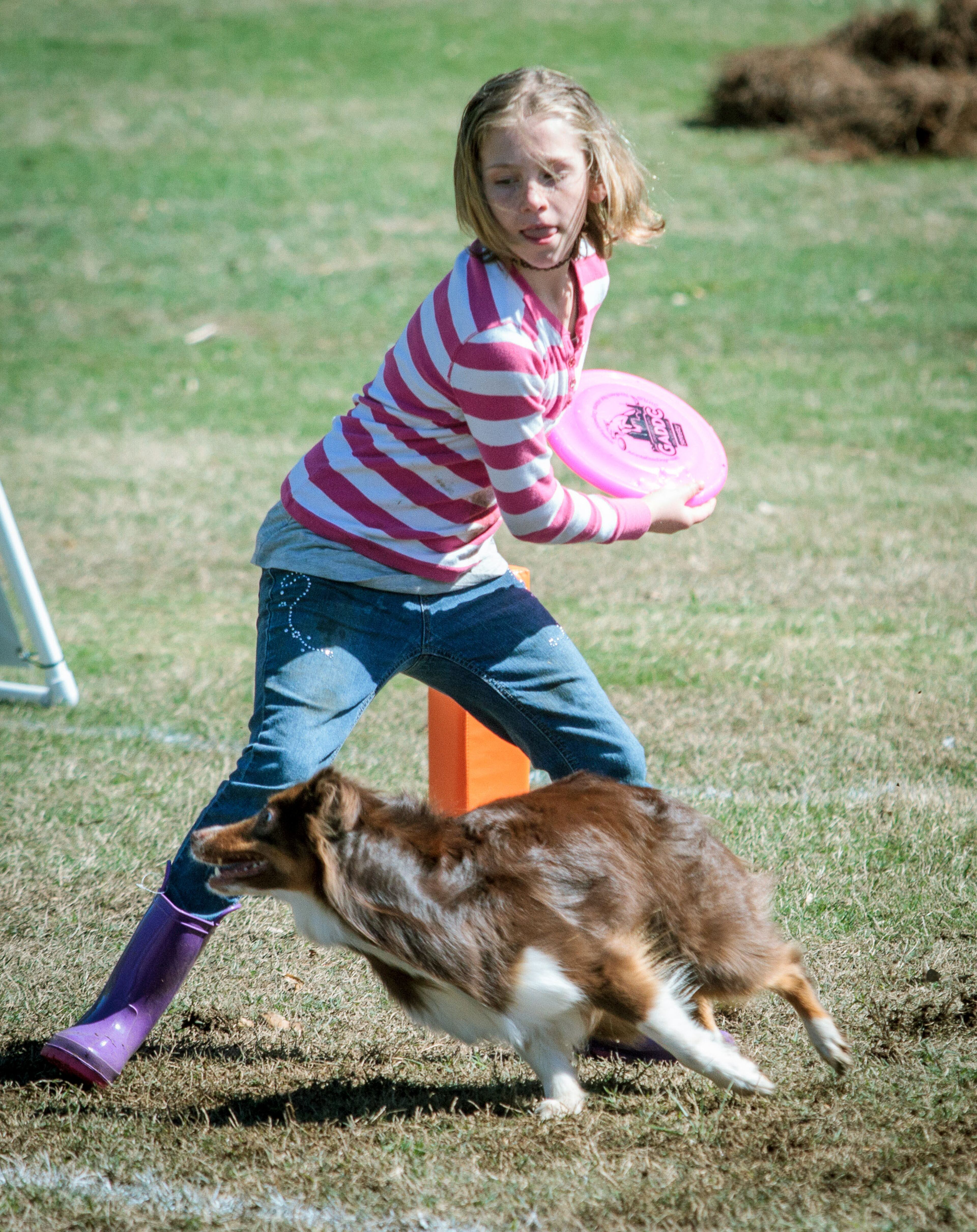 A competitor throws her disc for her dog at the Southern Disc Dog Nationals during the 81st Annual Atlanta Dogwood Festival Saturday in Atlanta, Ga April 8, 2017. STEVE SCHAEFER / SPECIAL TO THE AJC