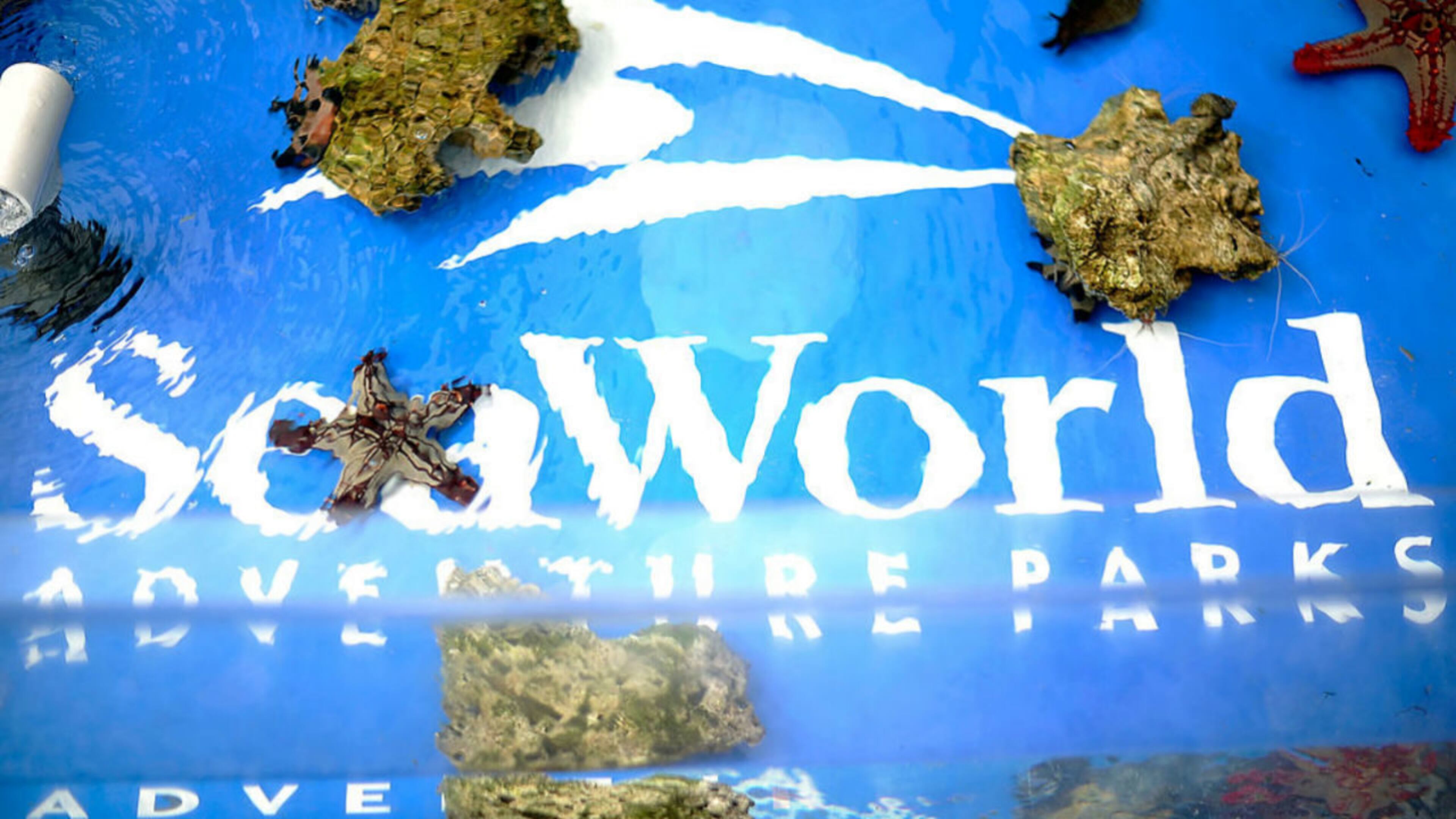 FILE PHOTO: A SeaWorld San Diego ride left 32 passengers stuck midair for almost 30 minutes Saturday.