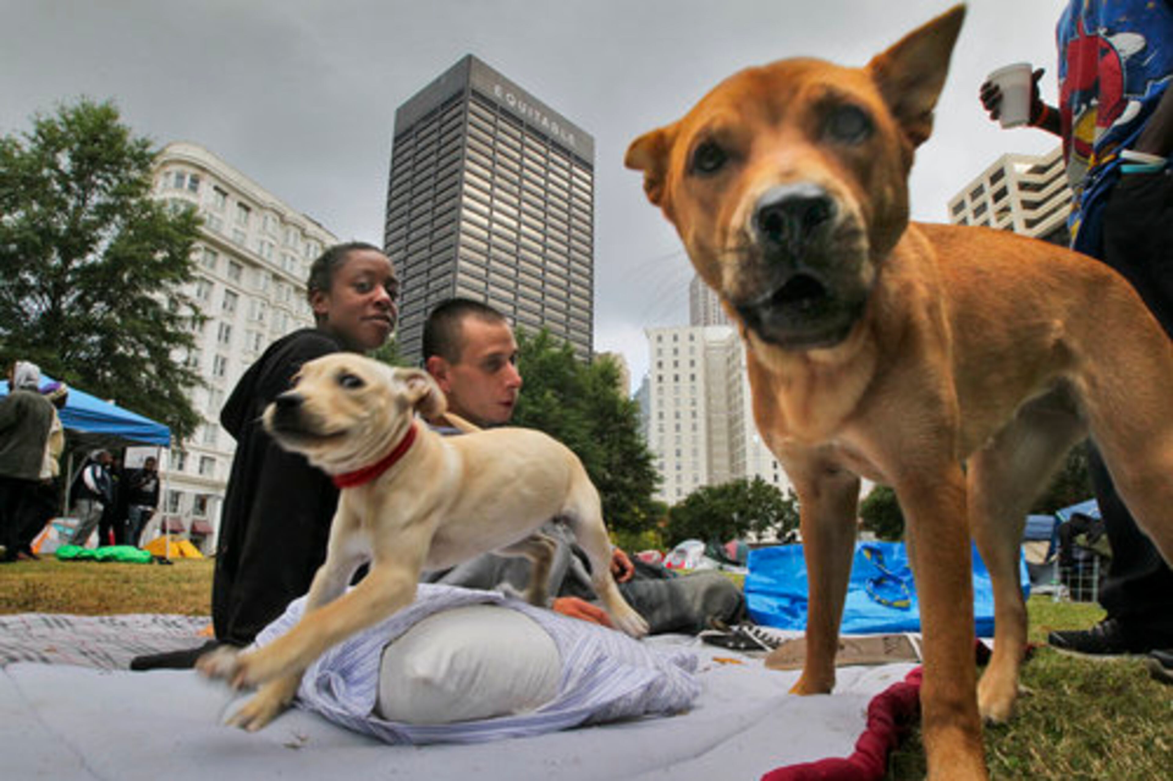 GSU student Pilar Brown (left) and friend Derrick Kelly sat in with Occupy Atlanta Thursday, Oct. 13, 2011 as did dogs, Red (left) and Angel. Occupy Atlanta was still encamped Thursday, after Atlanta Mayor Kasim Reed issued an executive order giving protesters five days to vacate Woodruff Park.