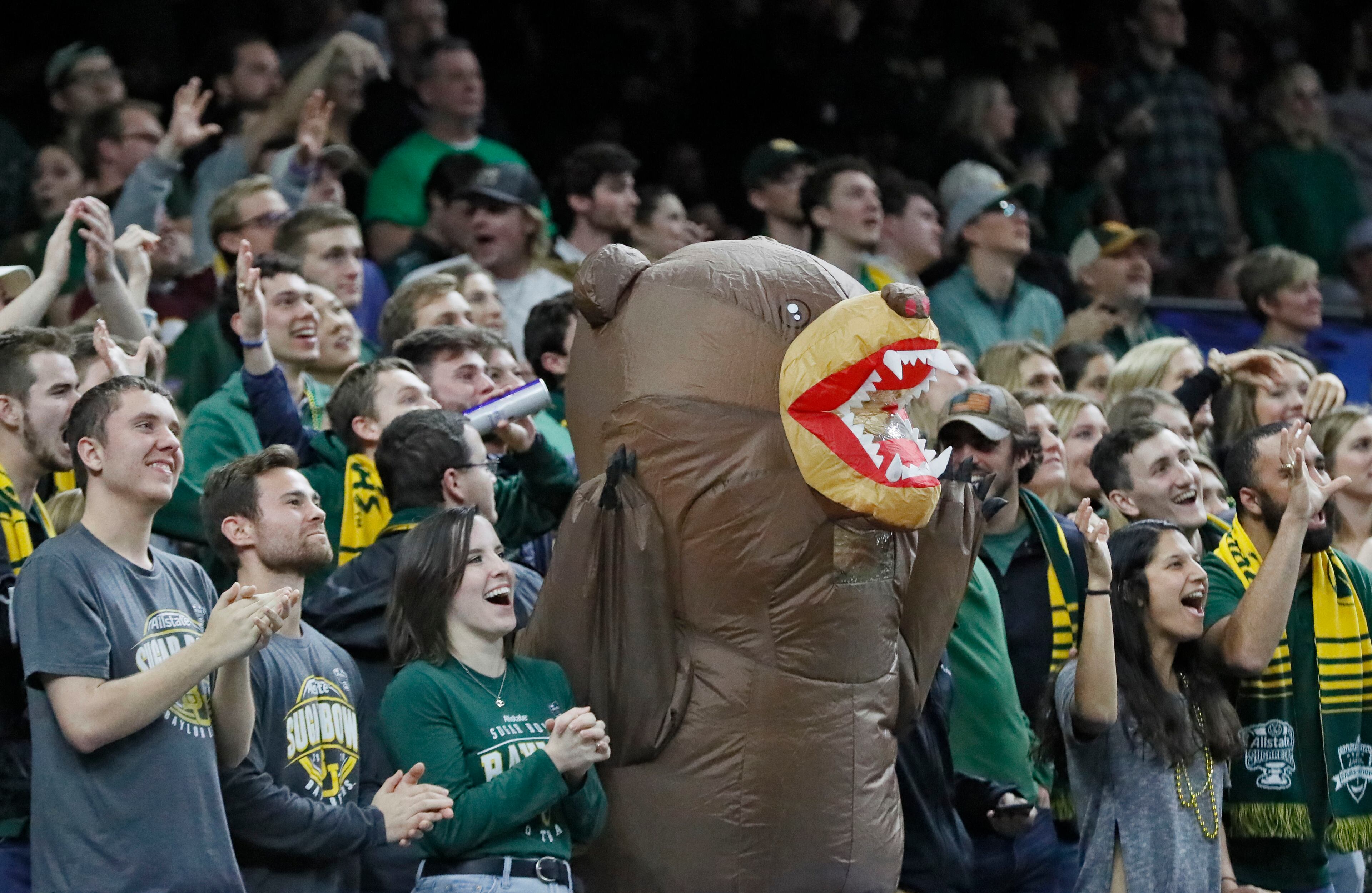 Baylor fans celebrate after their team scored in the Sugar Bowl. Bob Andres bandres@ajc.com