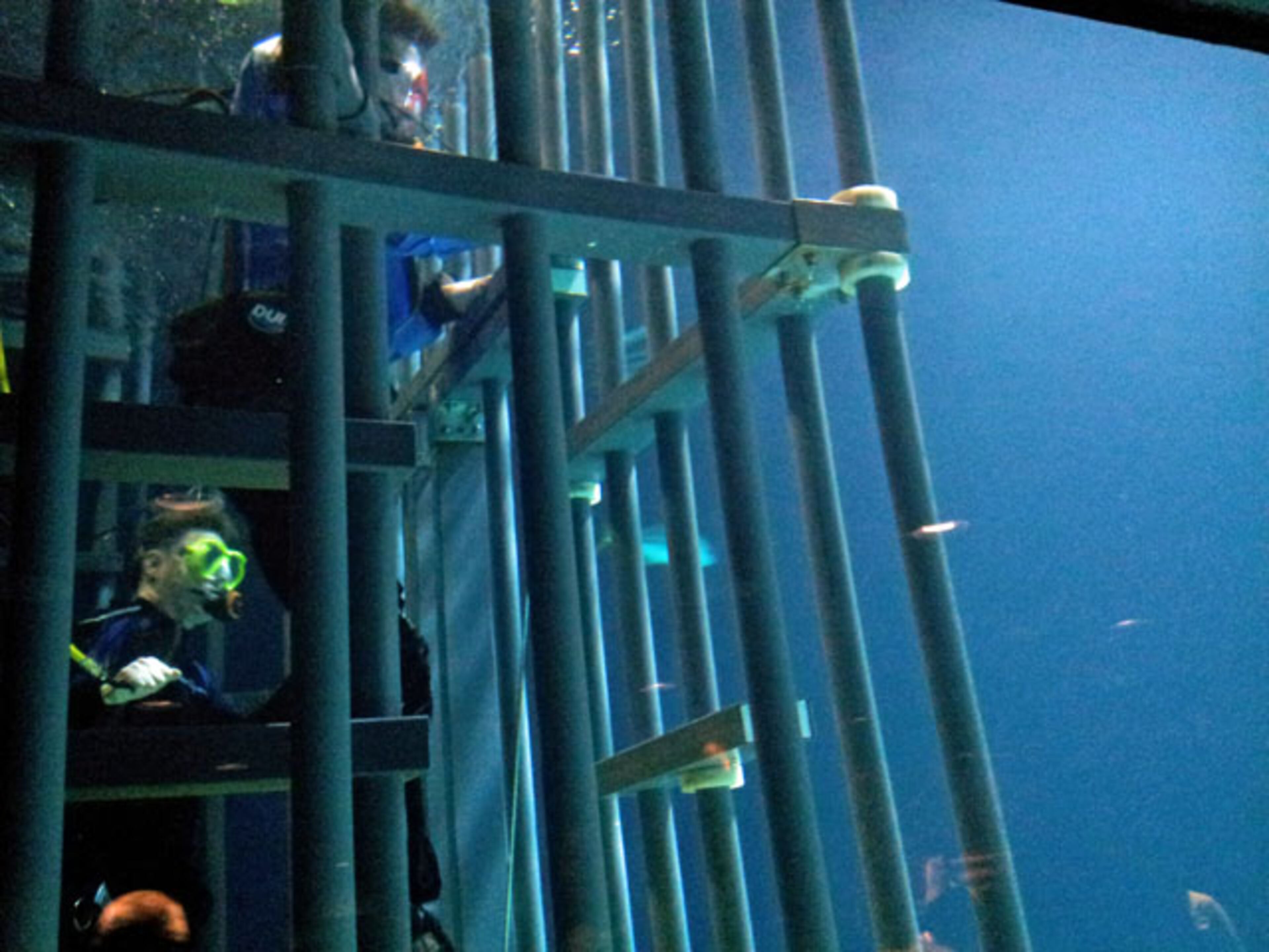 Spots for the underwater adventure have already been reserved clear into December.