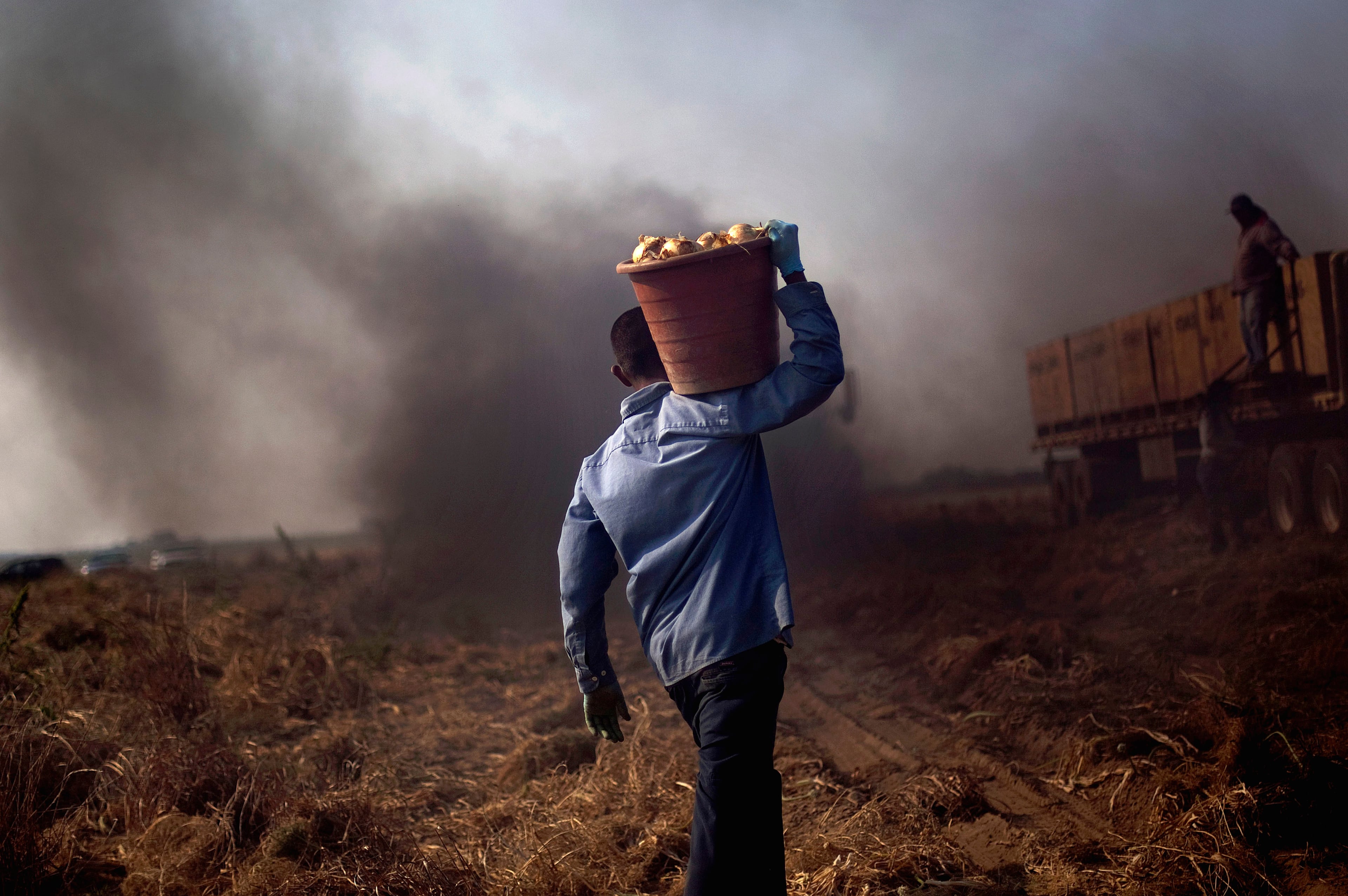 farmer