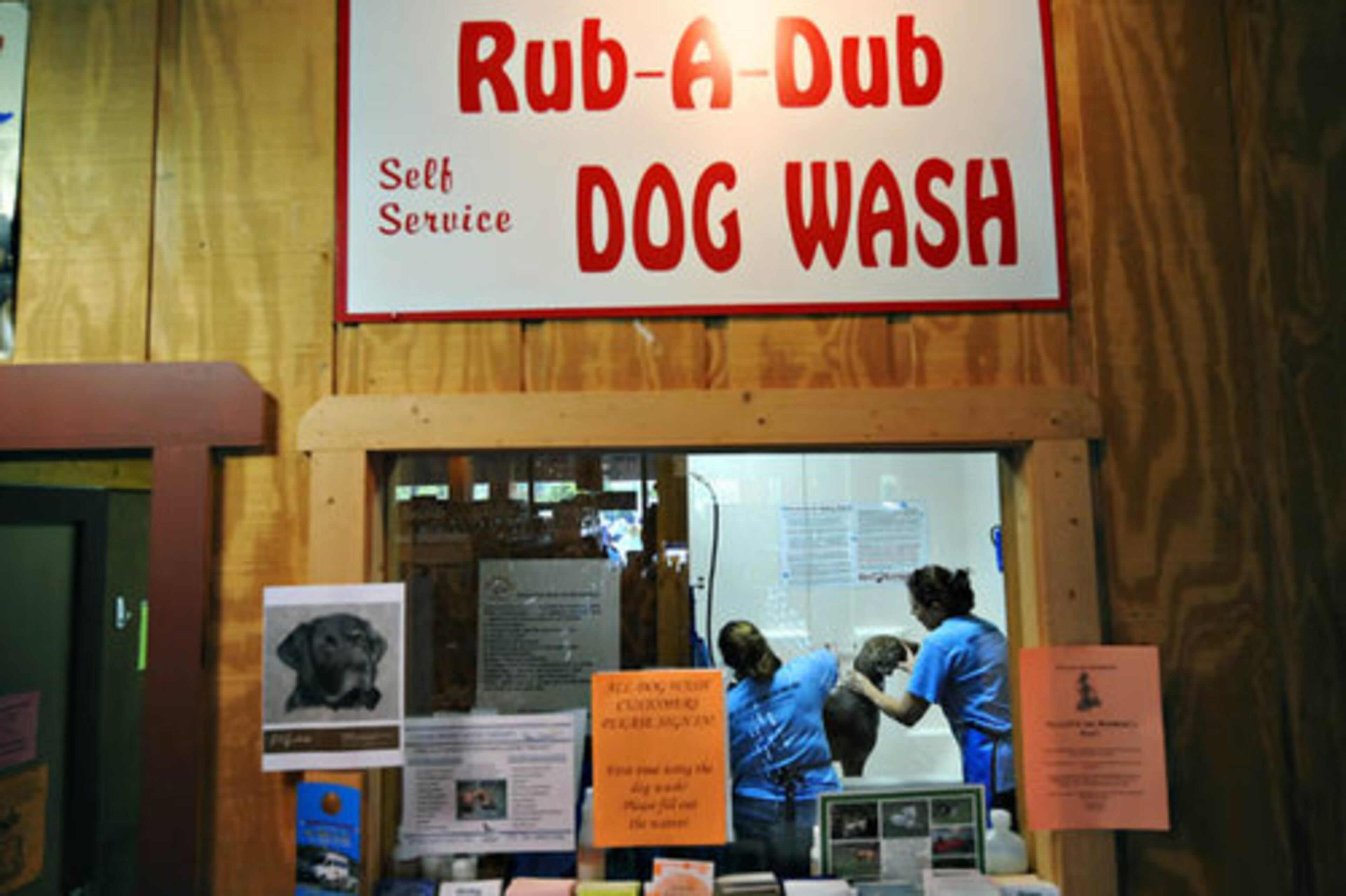 Rescue dog Clay takes his turn in the tub.