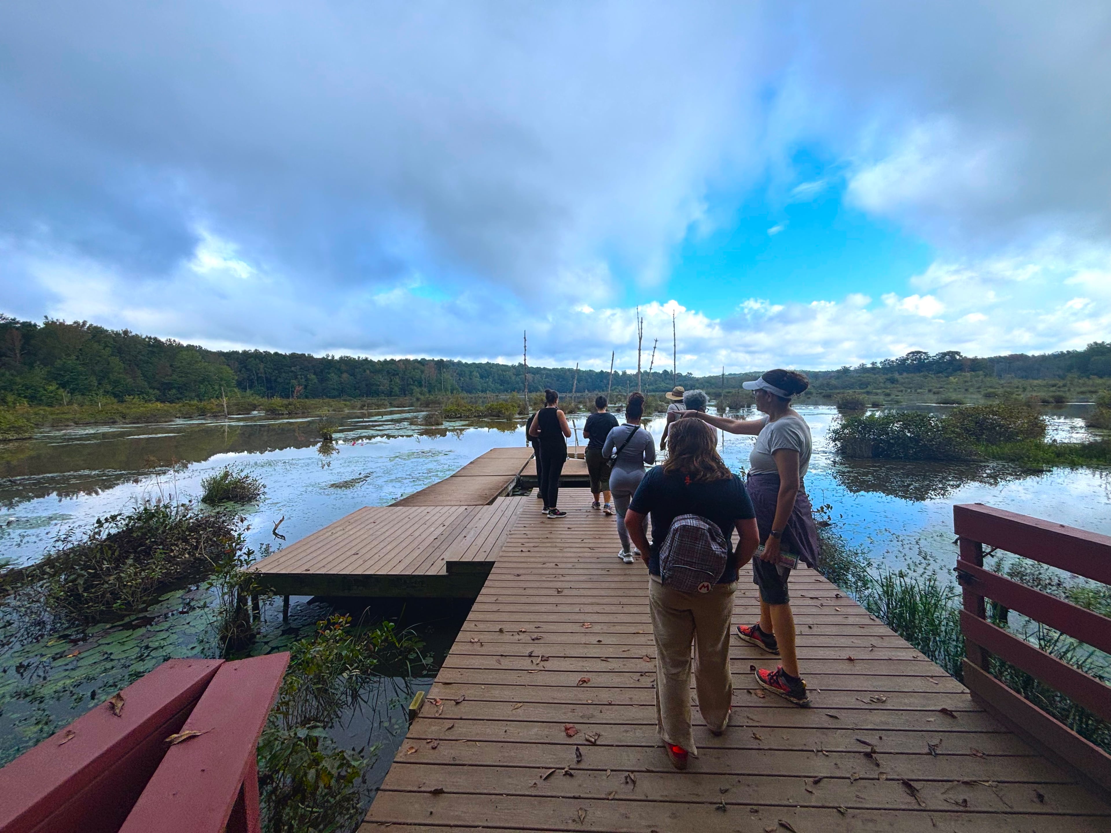 The wetlands are the crown jewel of Big Haynes Creek Nature Center. (Courtesy of Jonah McDonald)