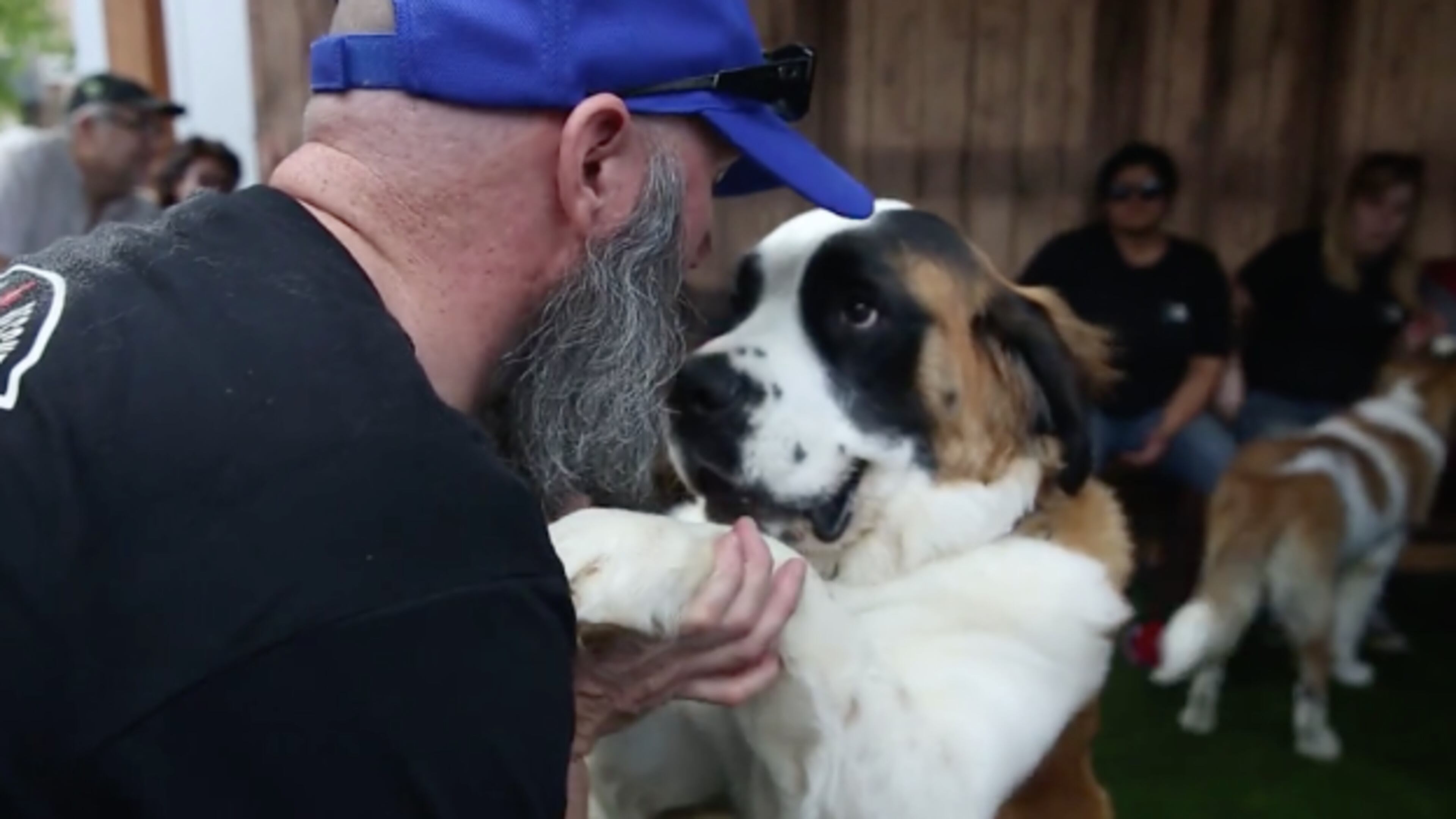 Making puppy dog eyes at his foster parent.