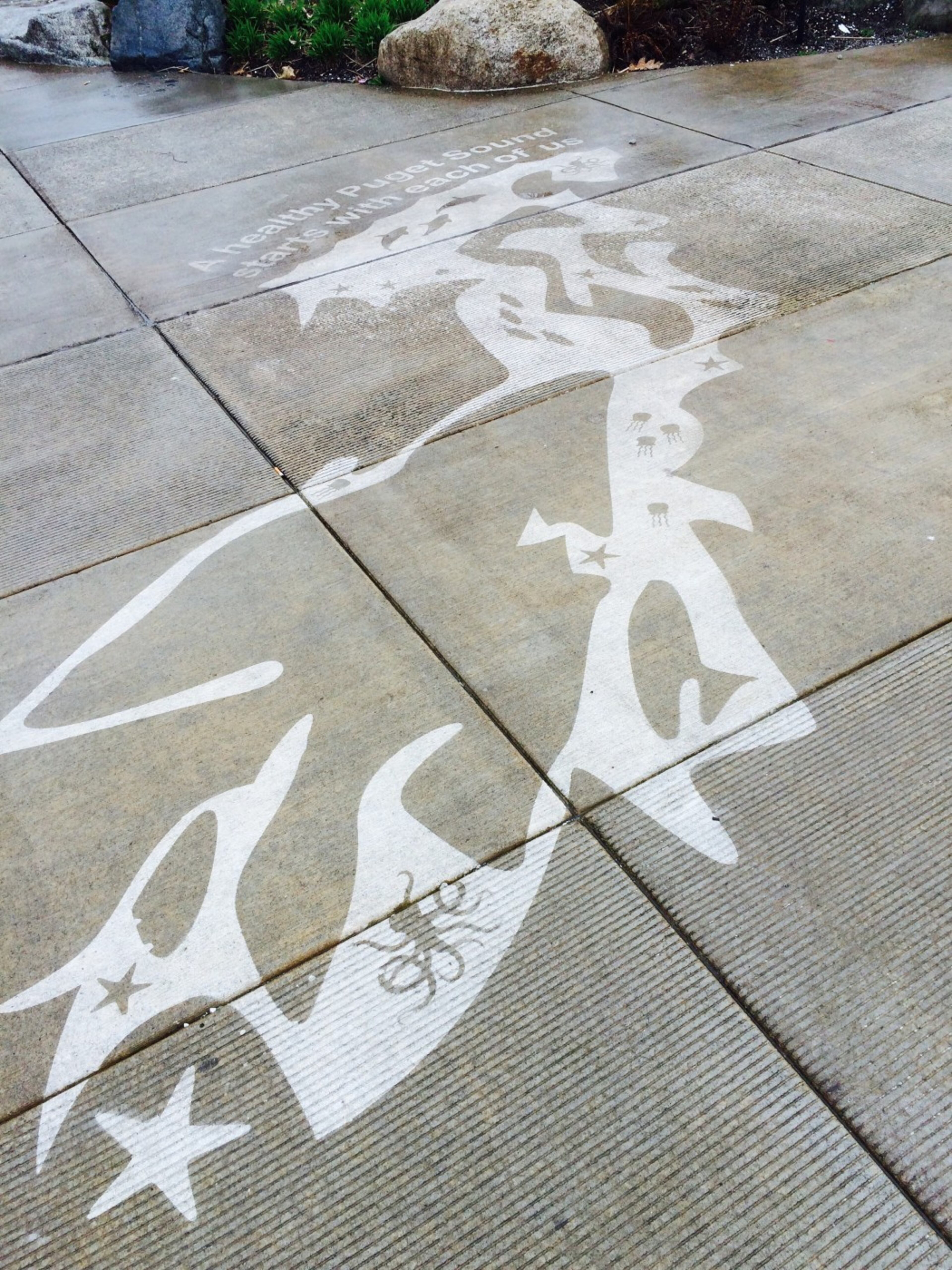 Seattle startup Rainworks said it is hoping to make rainy days a little brighter for everyone after designing a product that makes rain-activated art on sidewalks and other surfaces. See all their photos on their website here. (Photo: Rainworks)