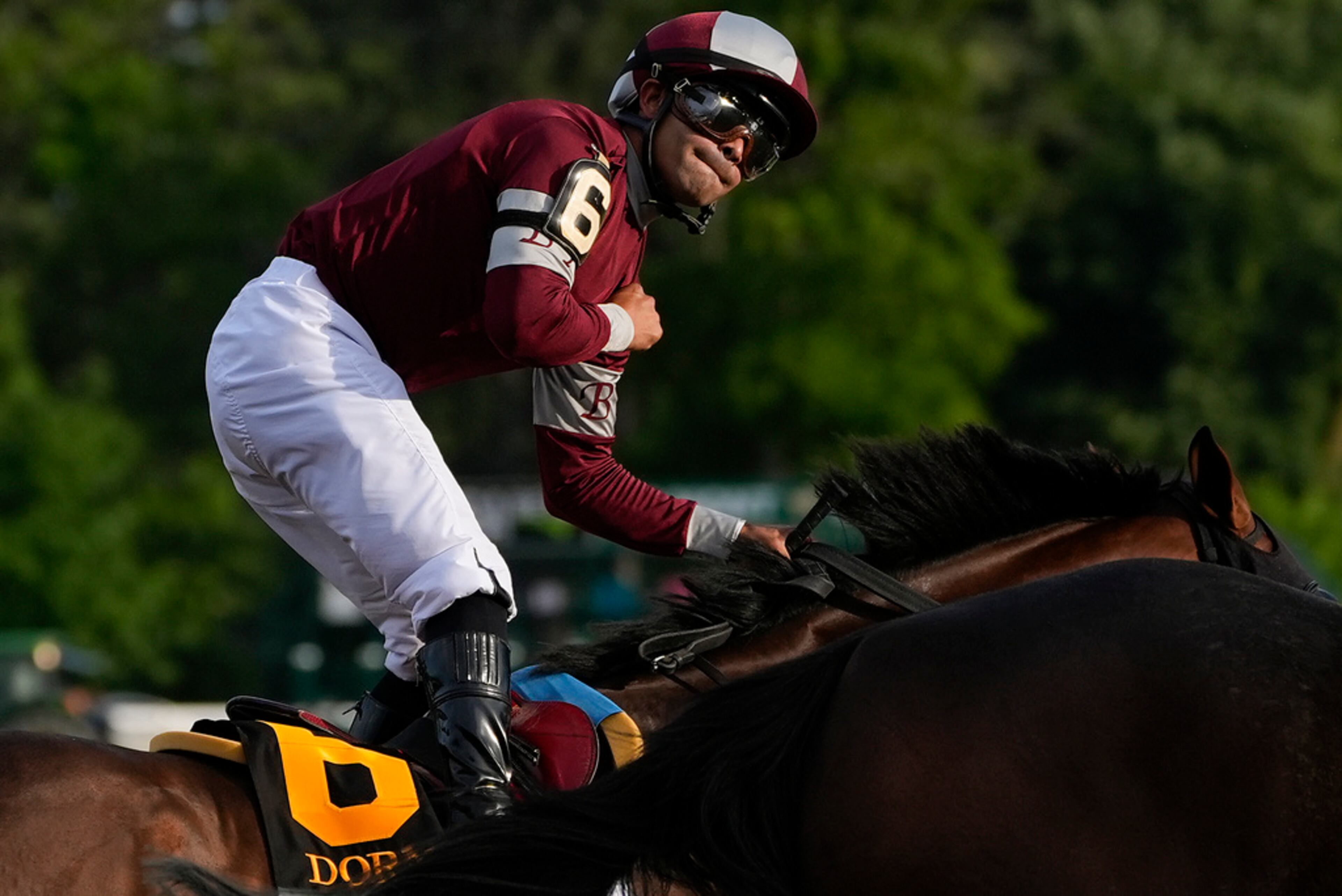Luis Saez reacts after winning the 156th running of the Belmont Stakes horse race aboard Dornoch (6), Saturday, June 8, 2024, in Saratoga Springs, N.Y. (AP Photo/Julia Nikhinson)