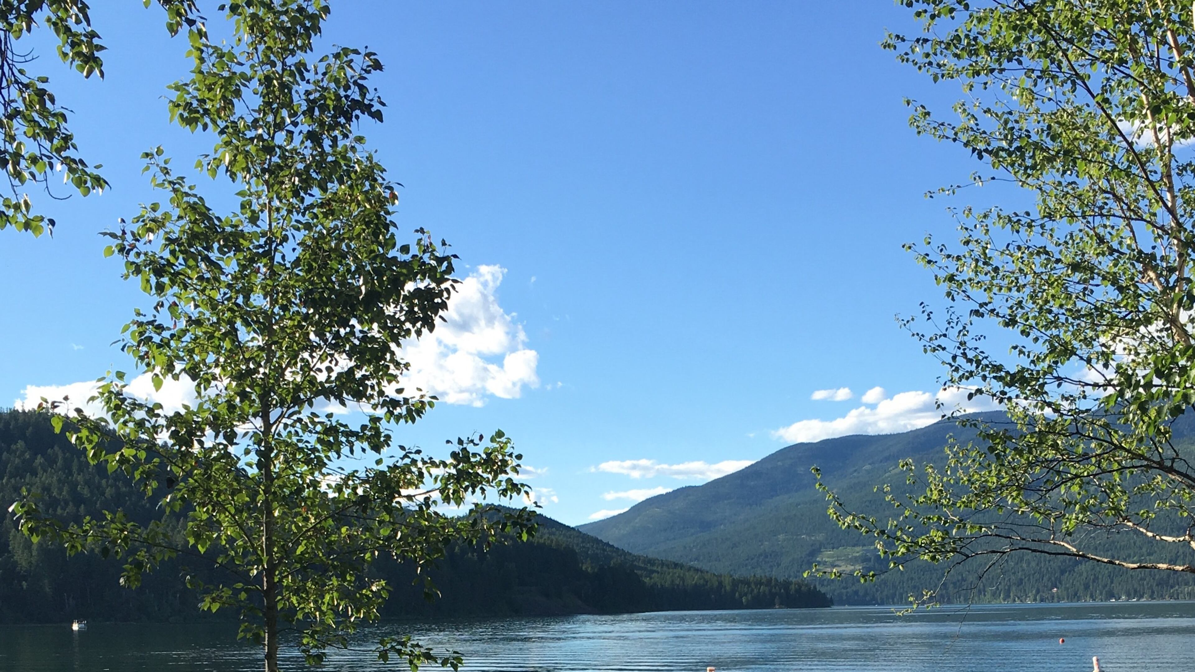 Mountain towns in summer offer fresh air for hiking and fishing, music under the stars, great dining and active pursuits for all ages, including here in Whitefish Lake, Mont. (Lynn O'Rourke Hayes/TNS)