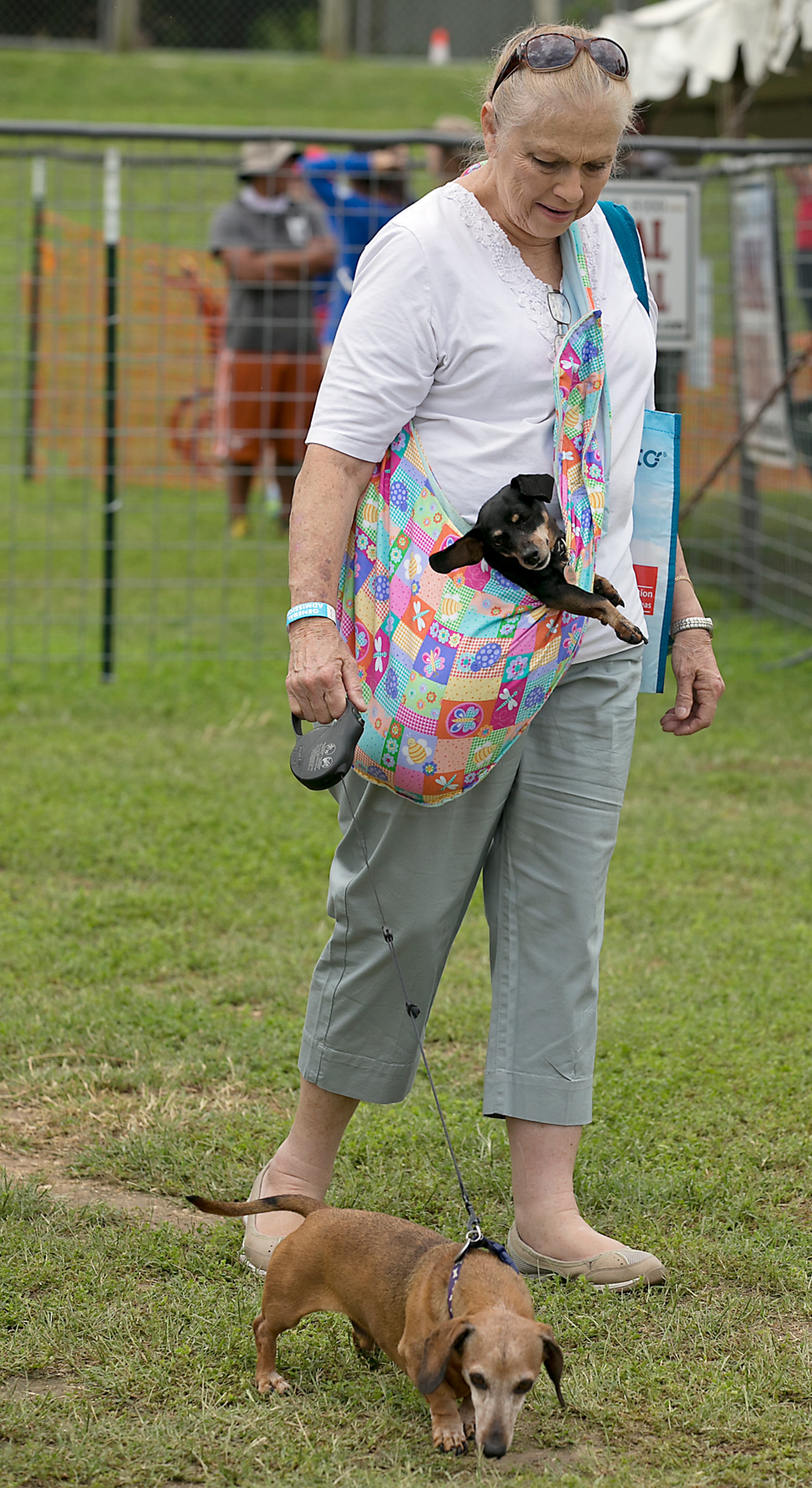Anna Hamby walks her dog Tony as Sophie gets a ride in a snuggly. The 18th Annual Buda County Fair and Weiner Dog Races was held at city park in Buda Sunday April 26, 2015 sponsored by the Lions Club. RALPH BARRERA/ AMERICAN-STATESMAN