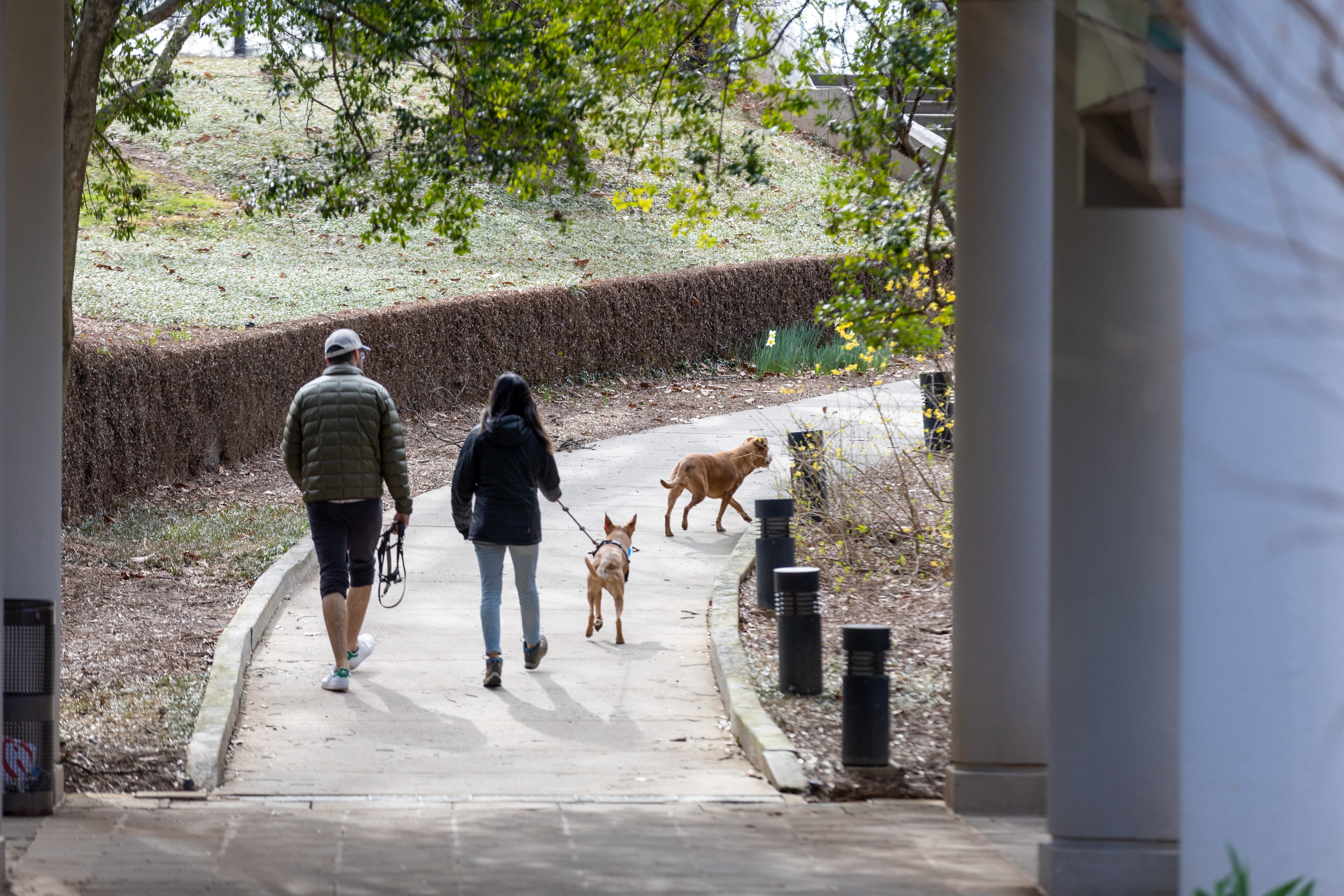 People walk around the Carter Center in Atlanta on Sunday morning, Feb. 19, 2023. Former President Jimmy Carter, 98, is under hospice care, the center announced on Saturday. (Photo: Steve Schaefer / steve.schaefer@ajc.com)