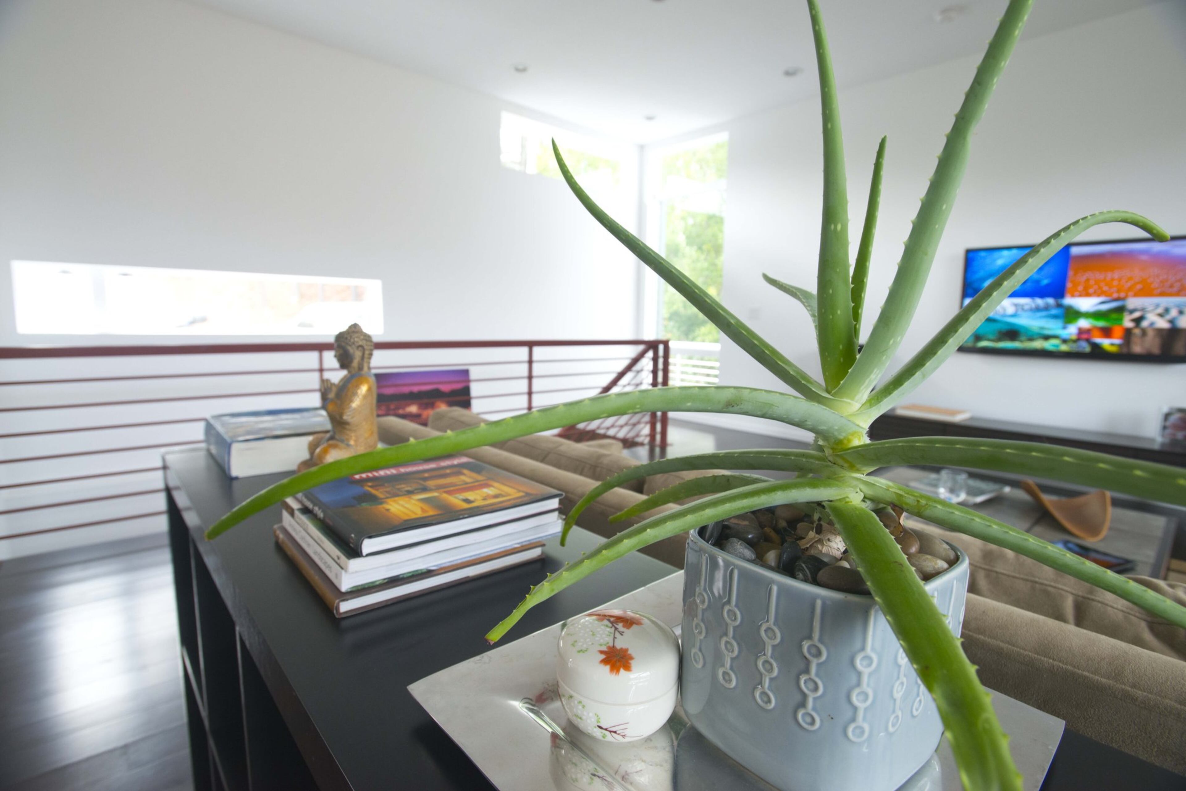 The Mitsubishi Mr. Slim ductless air system, which has the ability to control the temperature of each room individually, helps them efficiently heat and cool the home, Lisa says.