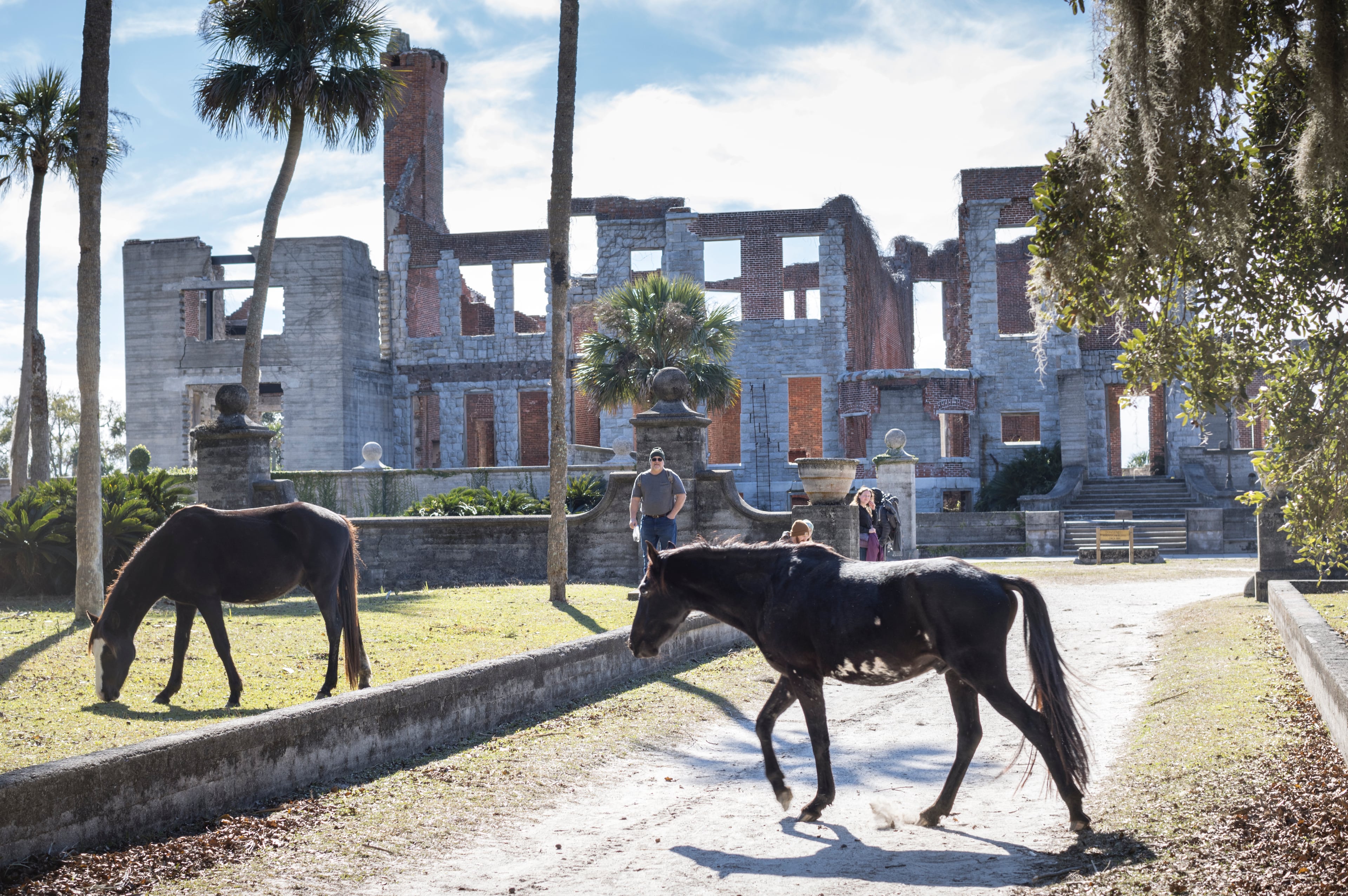 A NEW VISITOR PLAN THAT'S BEEN PROPOSED FOR THE CUMBERLAND ISLAND NATIONAL SEASHORE