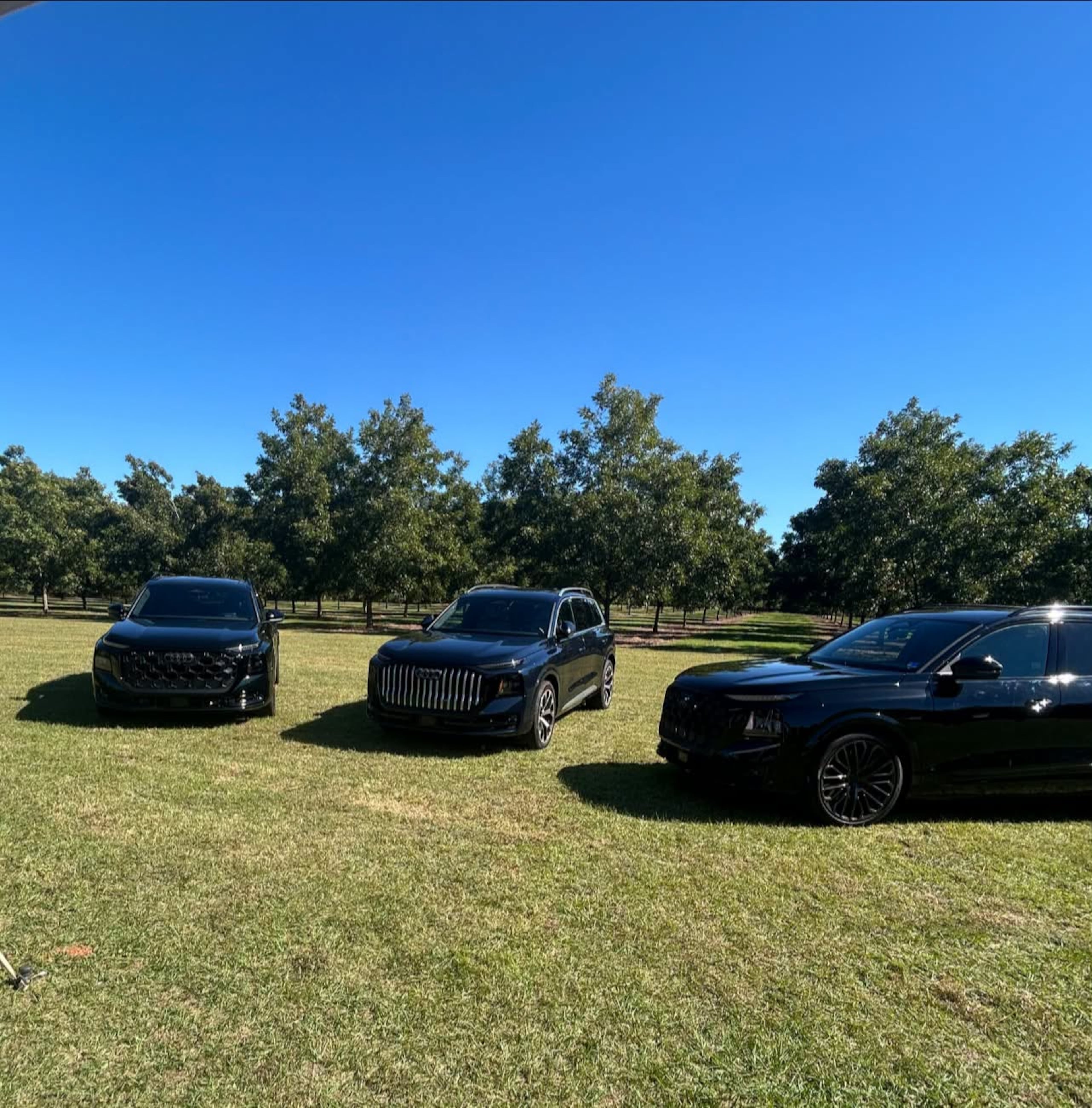 Three Audi vehicles were brought to the Middle Georgia megasite ahead of the automaker's factory announcement. (Courtesy of Lester Miller)