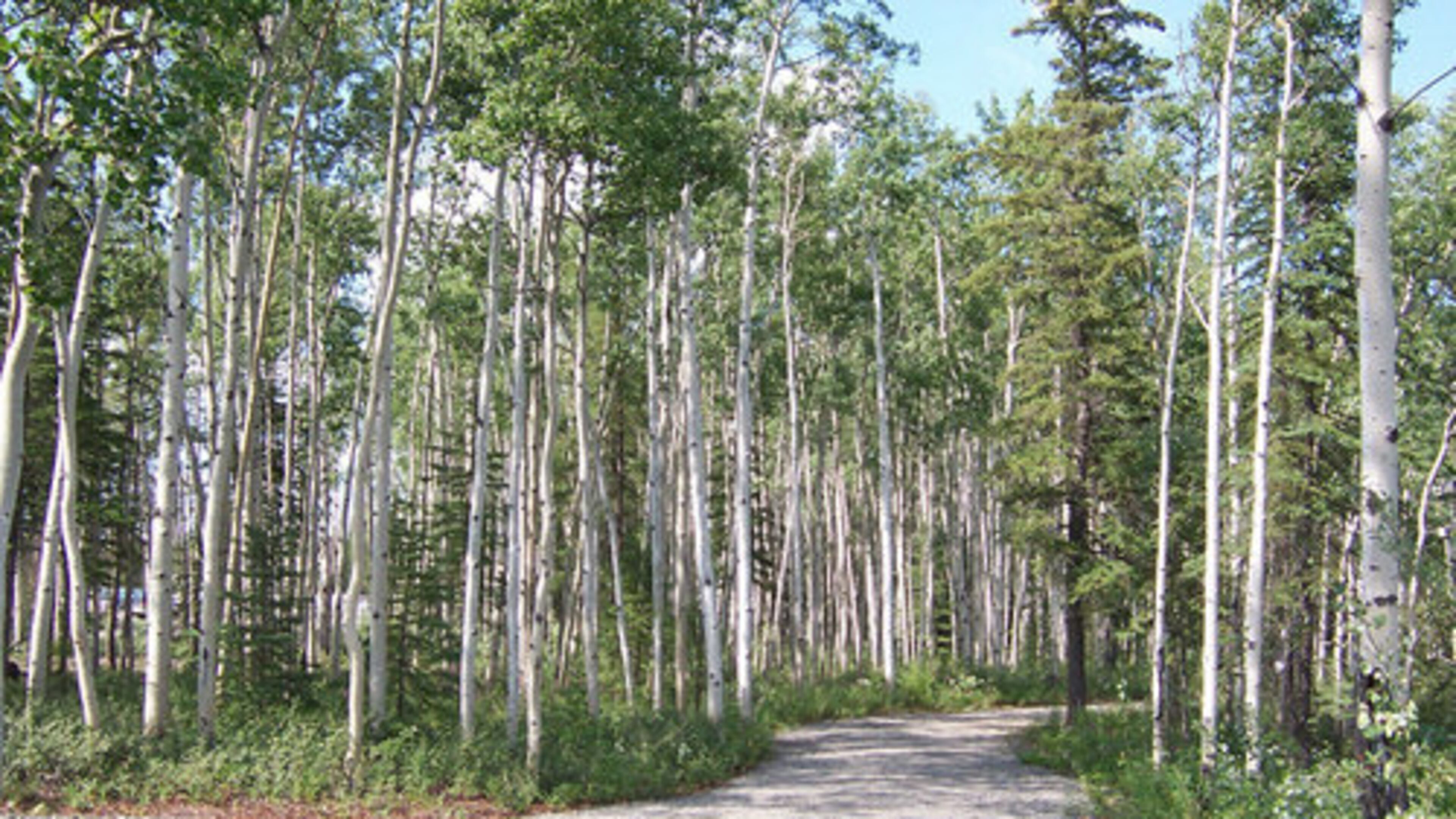 Entrance to Wrangell-St. Elias National Park, Alaska