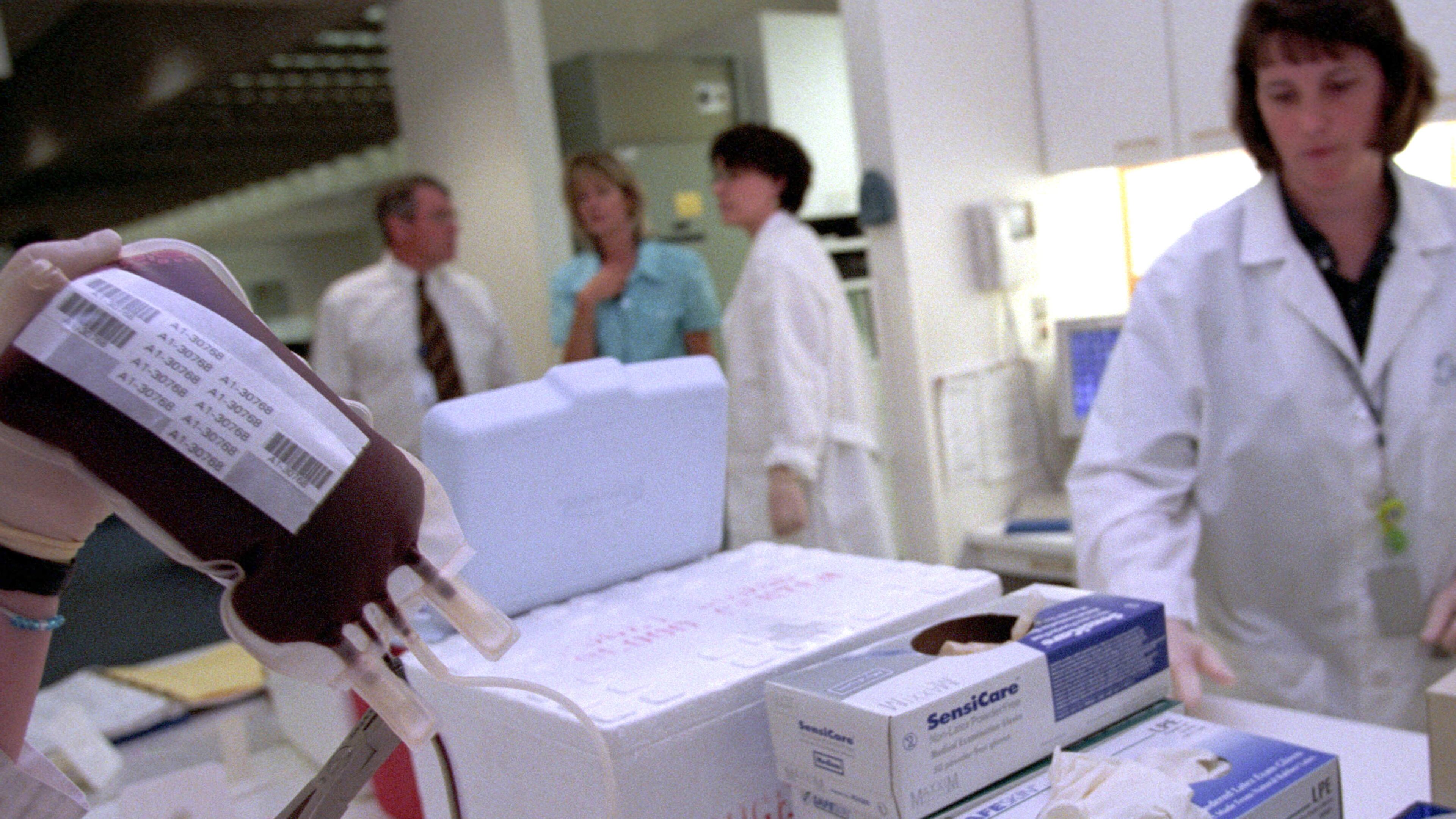 (Photo by Tim Matsui/Getty Images)