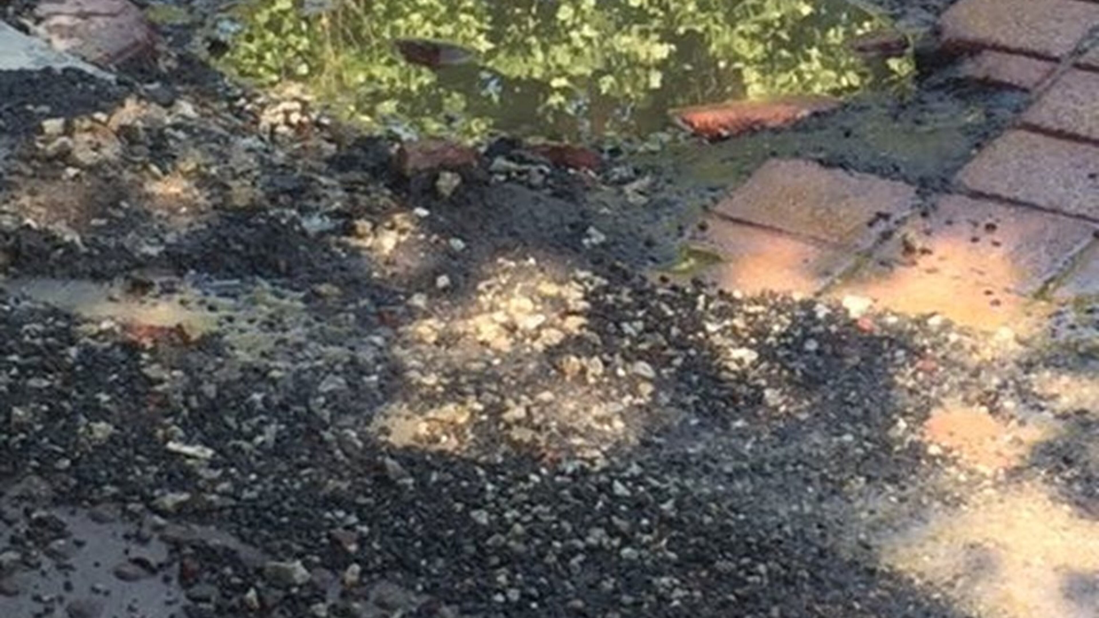 Stephanie Roberts hopes this hole can be fixed that is in the heart of Midtown. Photo/Stephanie Roberts.