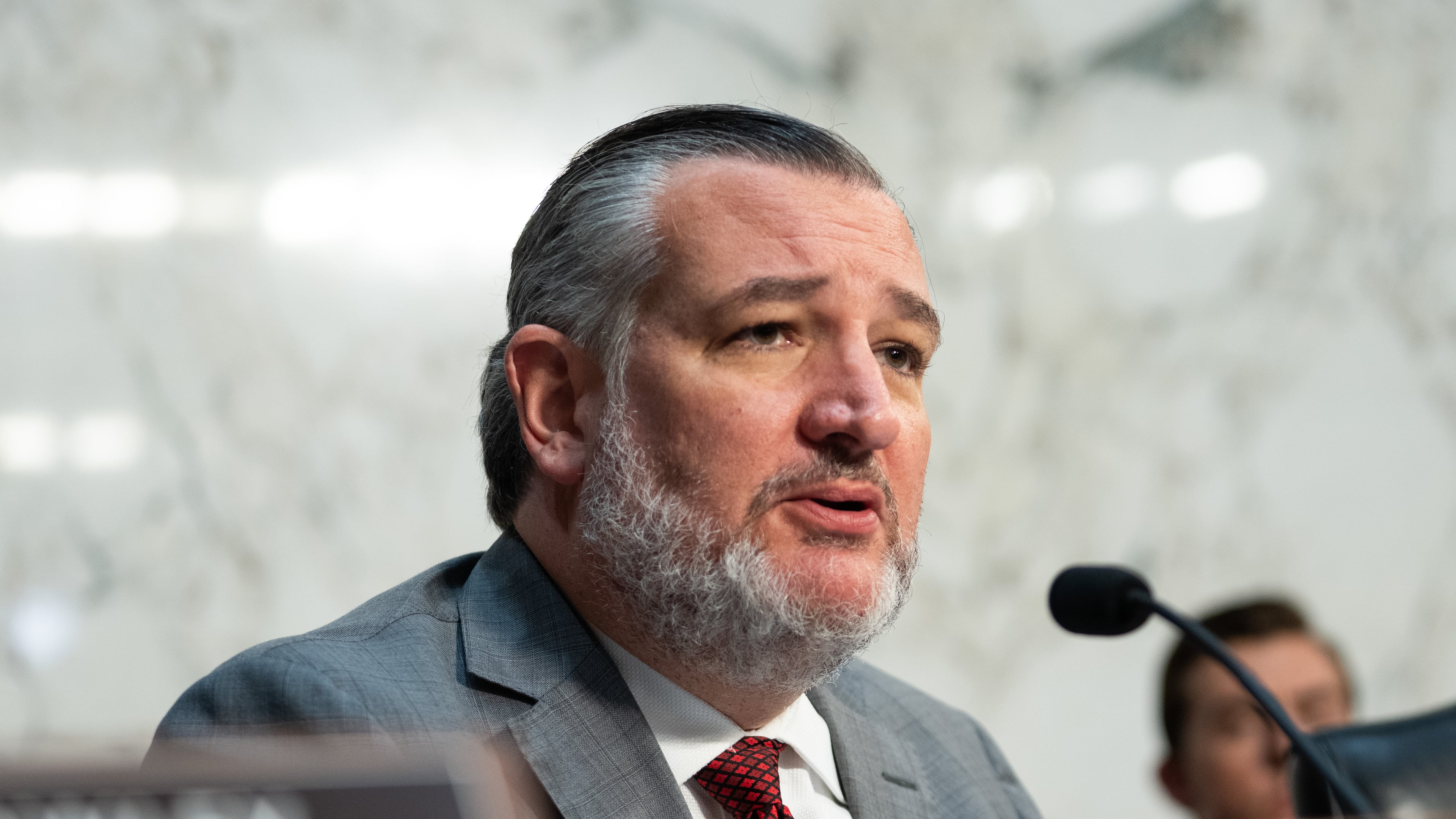 Sen. Ted Cruz, R-Texas, speaks at a Senate Judiciary Committee hearing with Acting Attorney General Todd Blanche on Capitol Hill in Washington, Wednesday, July 15, 2026. (AP Photo/Allison Robbert)