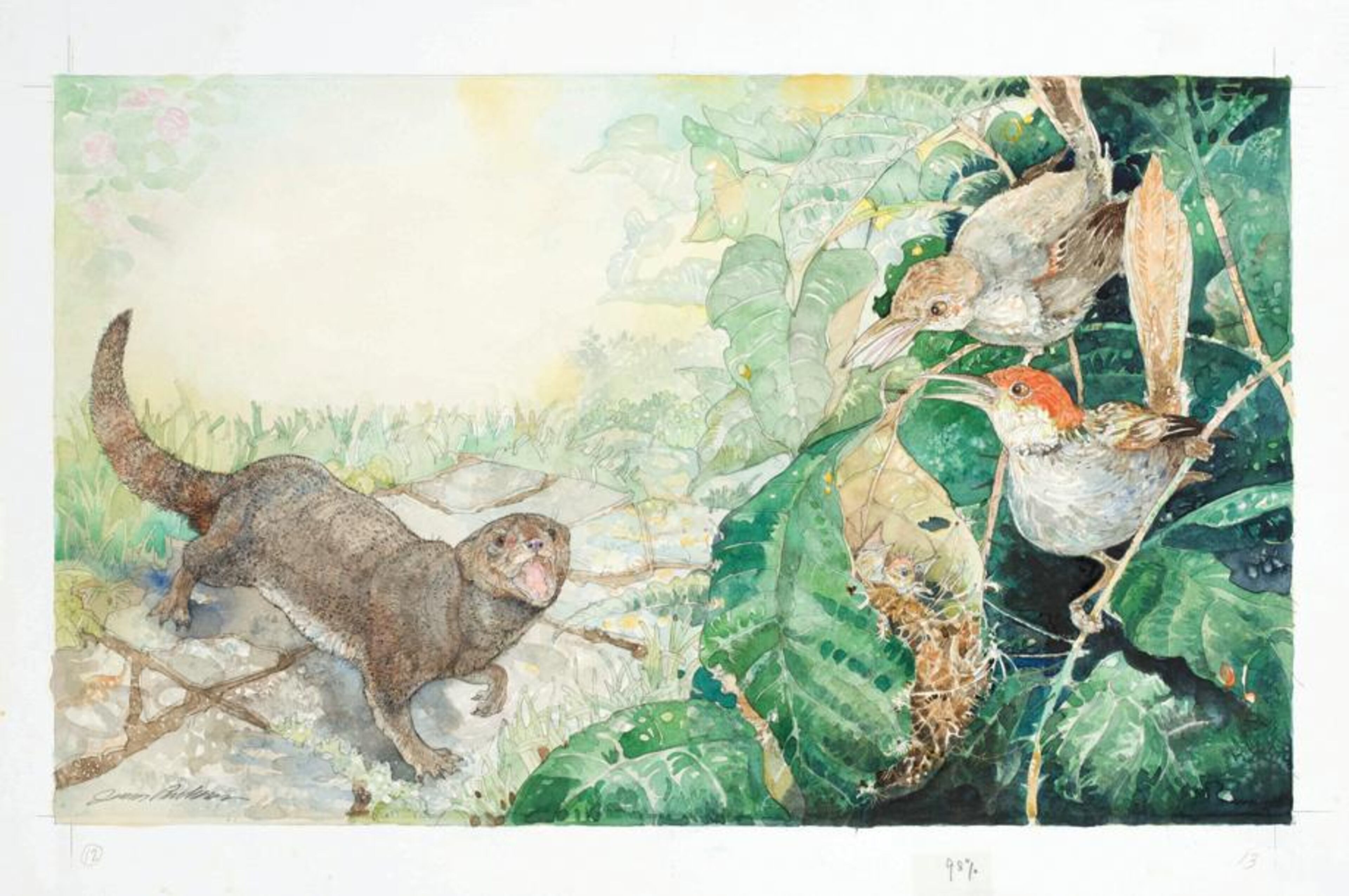 "Rikki-Tikki-Tavi Came to Breakfast" -- Illustration from Rikki-Tikki-Tavi, 1997.