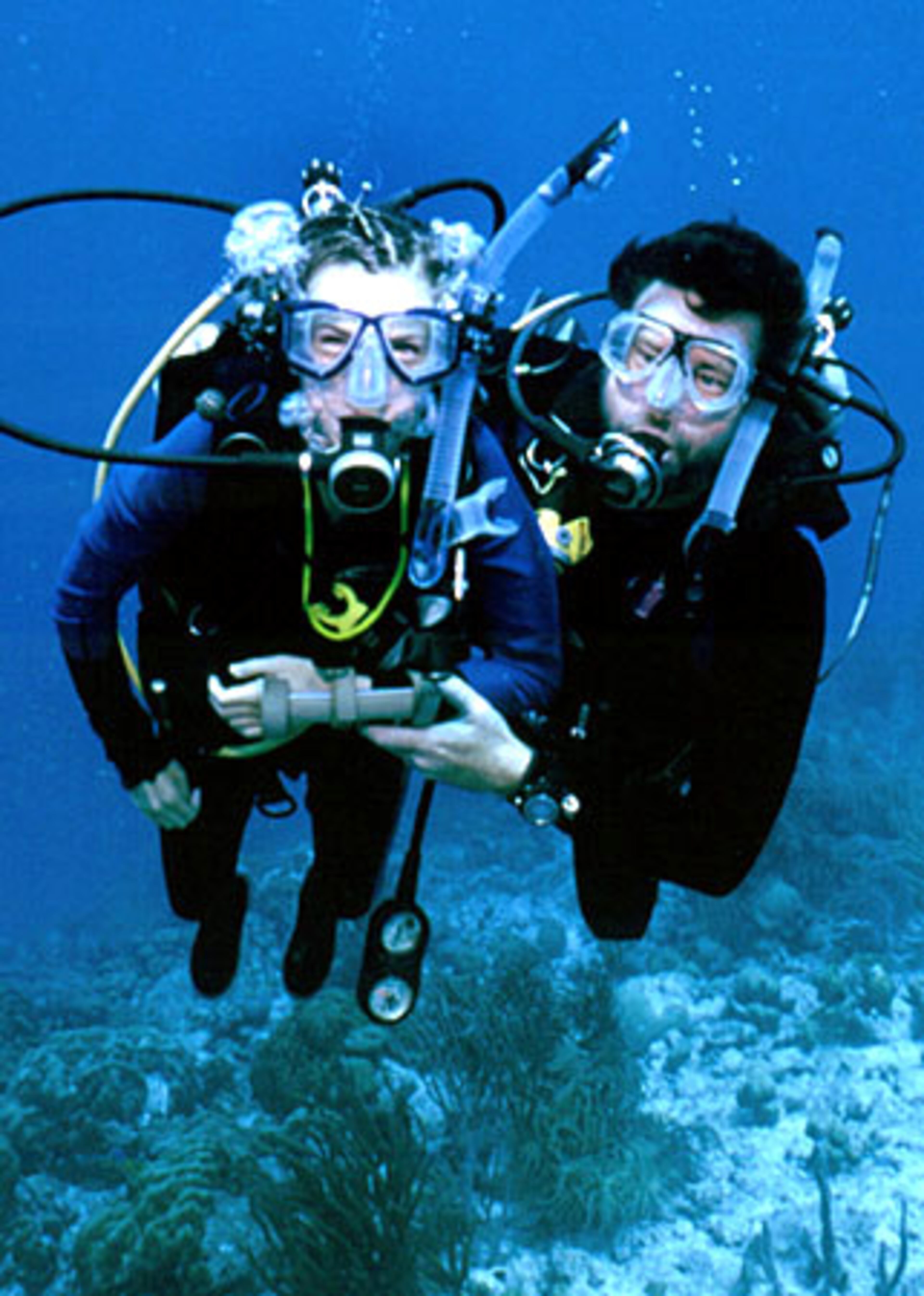 Cindy Donald (left) swims with Bert Quist, owner of Diver's at Sea, in Bonaire in the Netherlands Antilles Islands, last September. It was a wonderful moment for Cindy who is just now learning to control her motorized wheelchair with her hands instead of blowing into a straw.