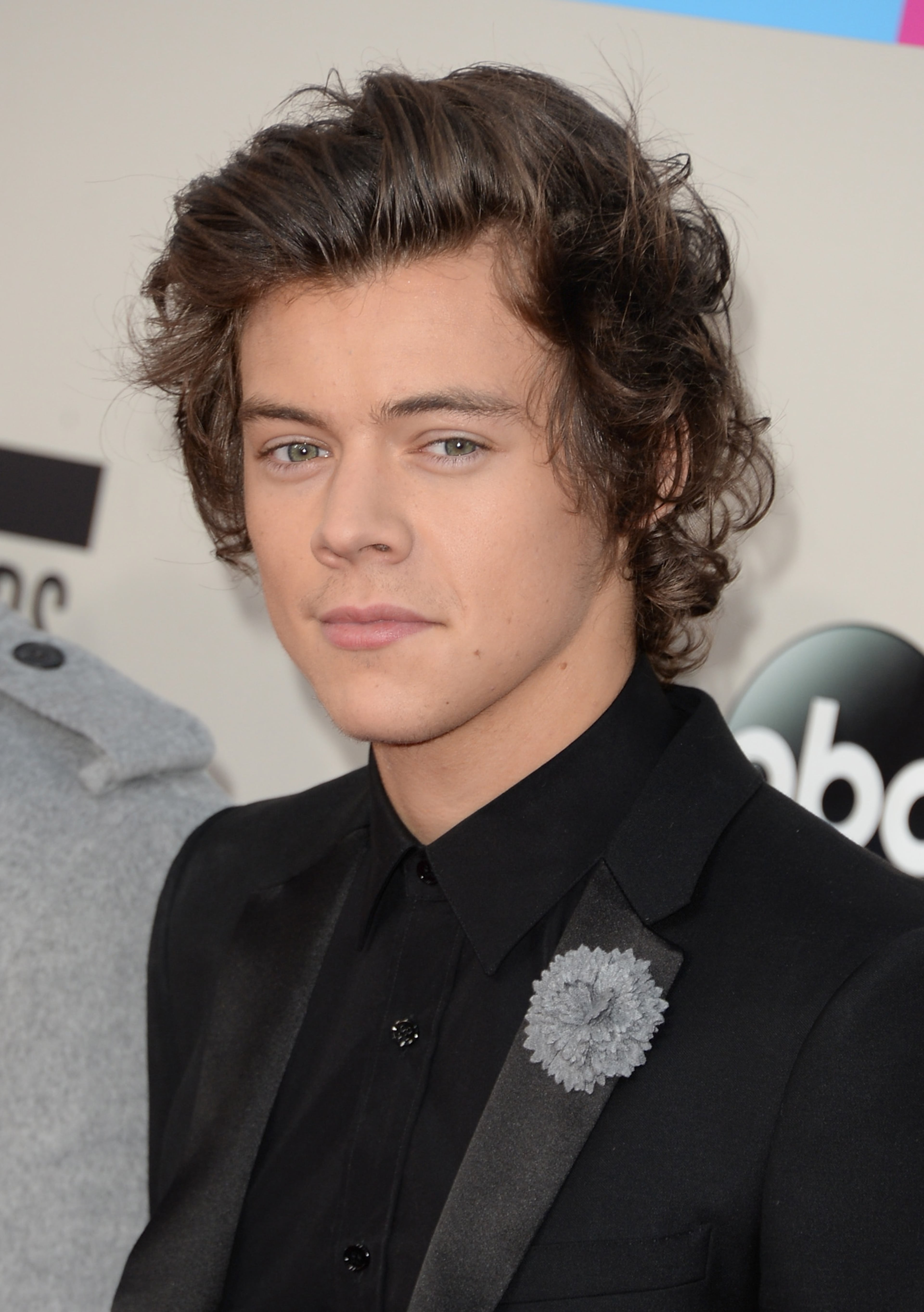 LOS ANGELES, CA - NOVEMBER 24: Singer Harry Styles of One Direction attends the 2013 American Music Awards at Nokia Theatre L.A. Live on November 24, 2013 in Los Angeles, California. (Photo by Jason Merritt/Getty Images)