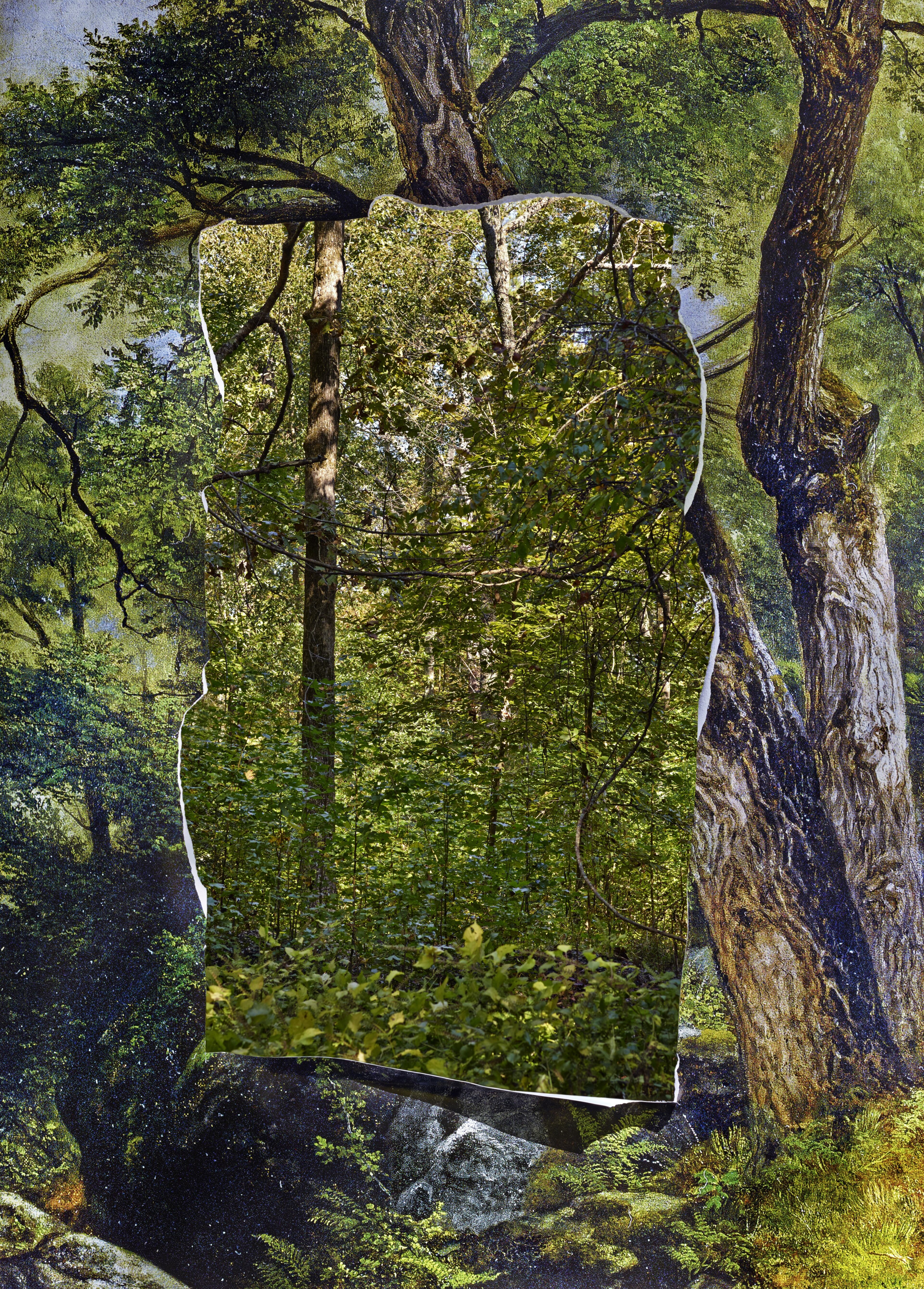 Abelardo Morell (American, born Cuba, 1948), Cutout in Print with Trees Behind, 2013, inkjet print © Abelardo Morell