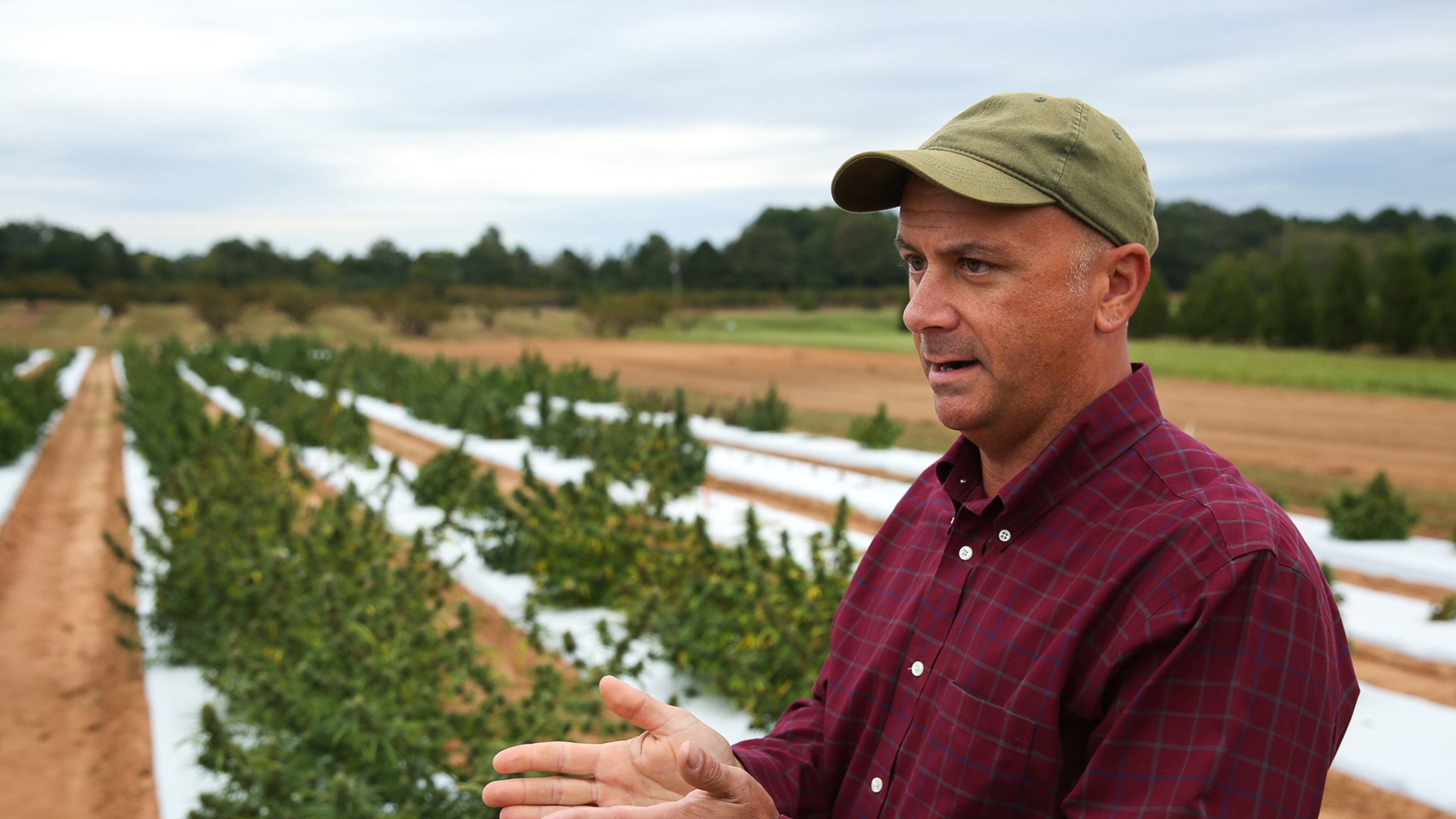Tim Coolong, an associate professor of horticulture at the University of Georgia, discusses the various aspects of growing hemp at the UGA’s Durham Horticulture Farm in Watkinsville. The university is researching how to grow hemp in Georgia’s climate and whether it will be viable for farmers. (Photo/Austin Steele for the Atlanta Journal-Constitution)