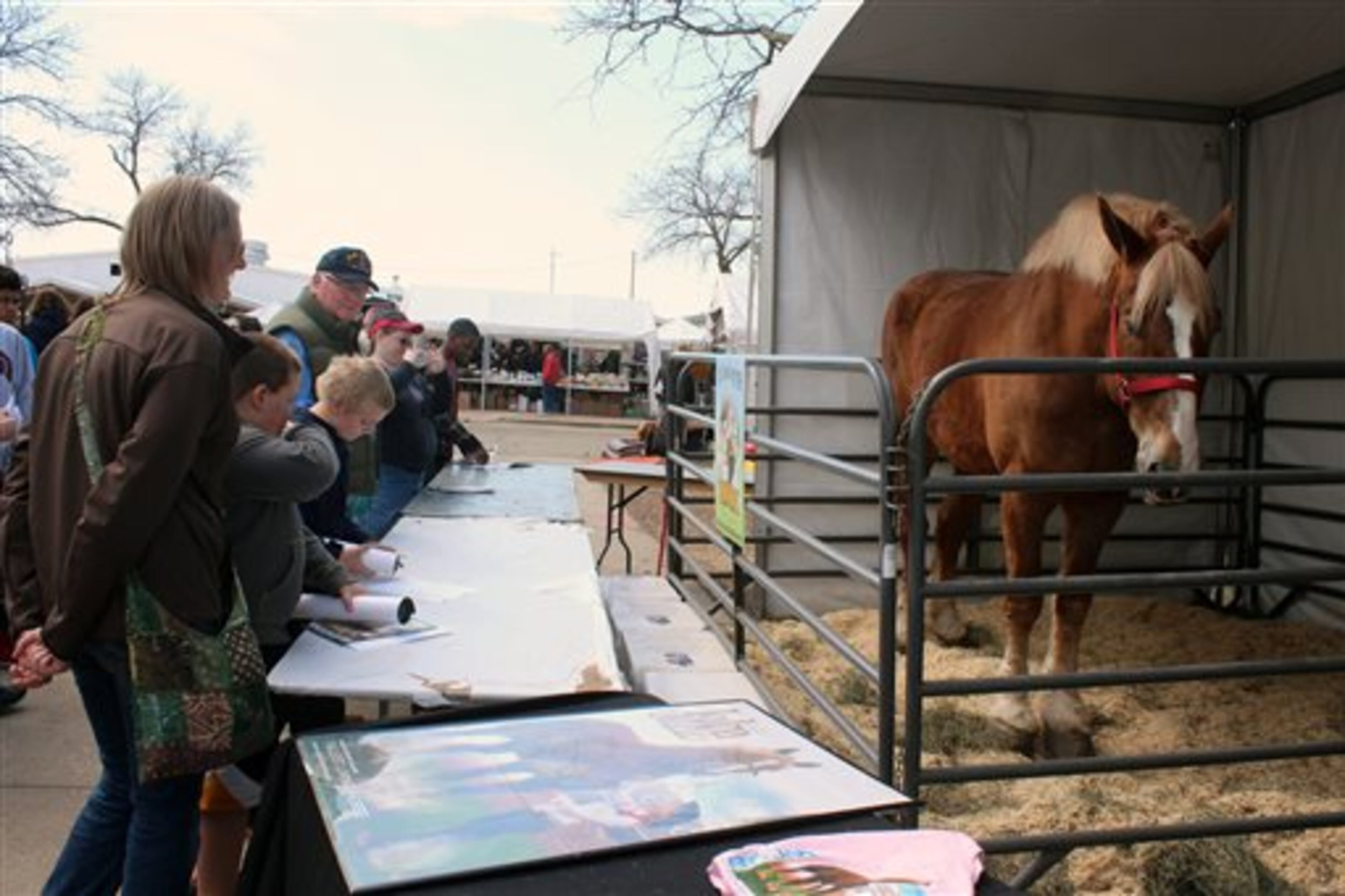 People view Big Jake, the tallest living horse at the Midwest Horse Fair, Friday, April 11, 2014, in Madison, Wis. The Belgian gelding is the Guinness World Record-holder for world's tallest living horse at one quarter inch short of 6 feet, 11 inches. He weighs about 2,600 pounds. (AP Photo/Carrie Antlfinger)