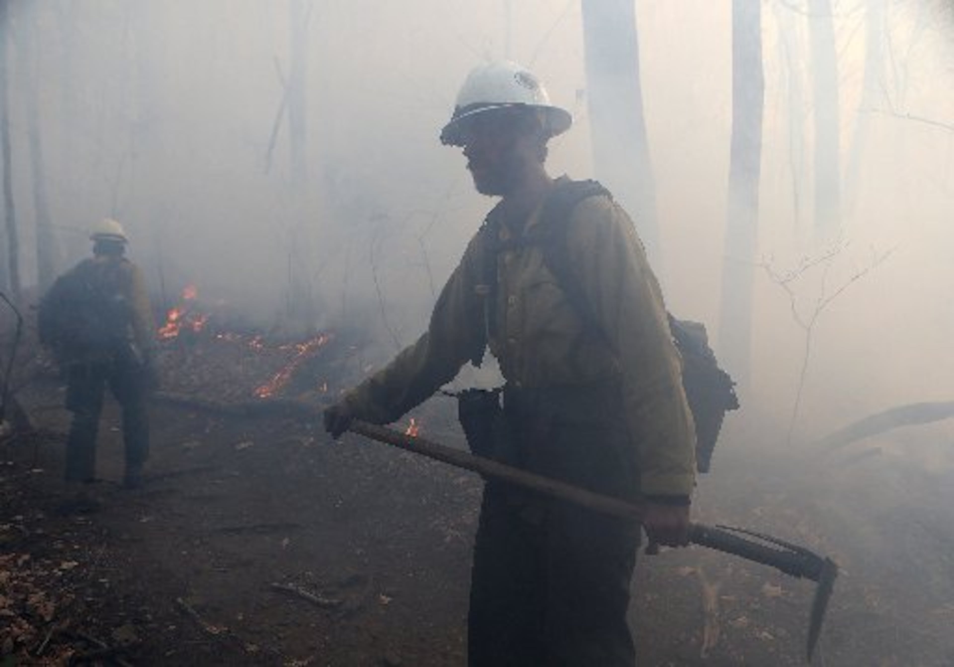 November 22, 2016, Tate City: California firefighter Zane Roberts works to hold the northern head of the Rock Mountain Fire along the Appalachian Trail at Deep Gap on Tuesday, Nov. 22, 2016, north of Tate City and the North Carolina border. The area is deep in the Natahala National Forest. Firefighters are using the trail as a line to hold the fire. Curtis Compton/ccompton@ajc.com
