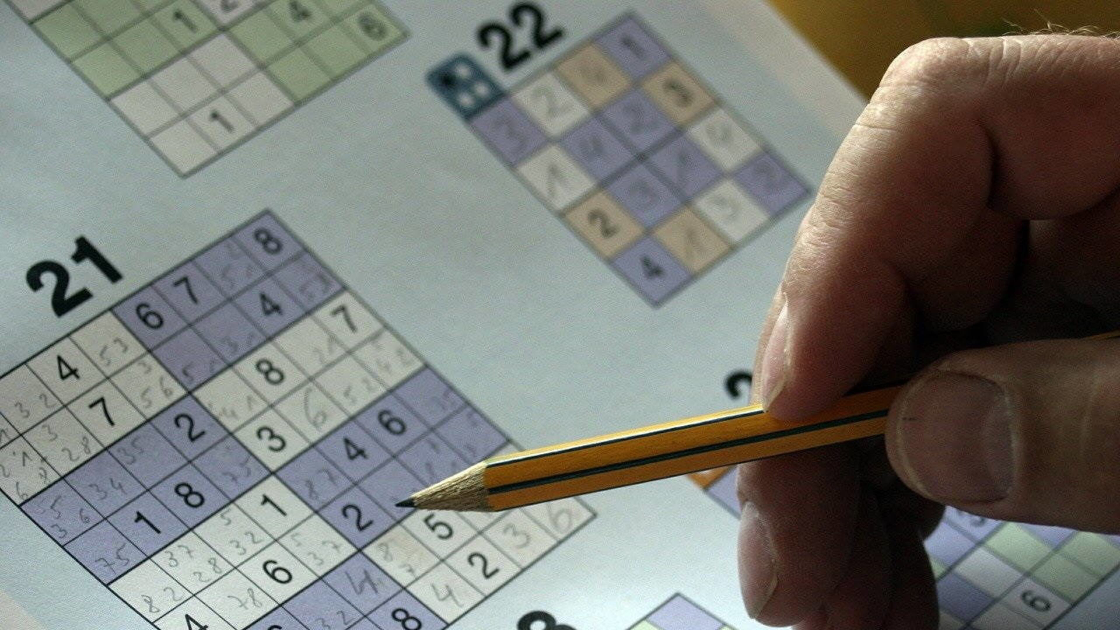 A math professor in New Jersey devised a variation of Sudoku, giving math lovers some tougher problems to solve.
