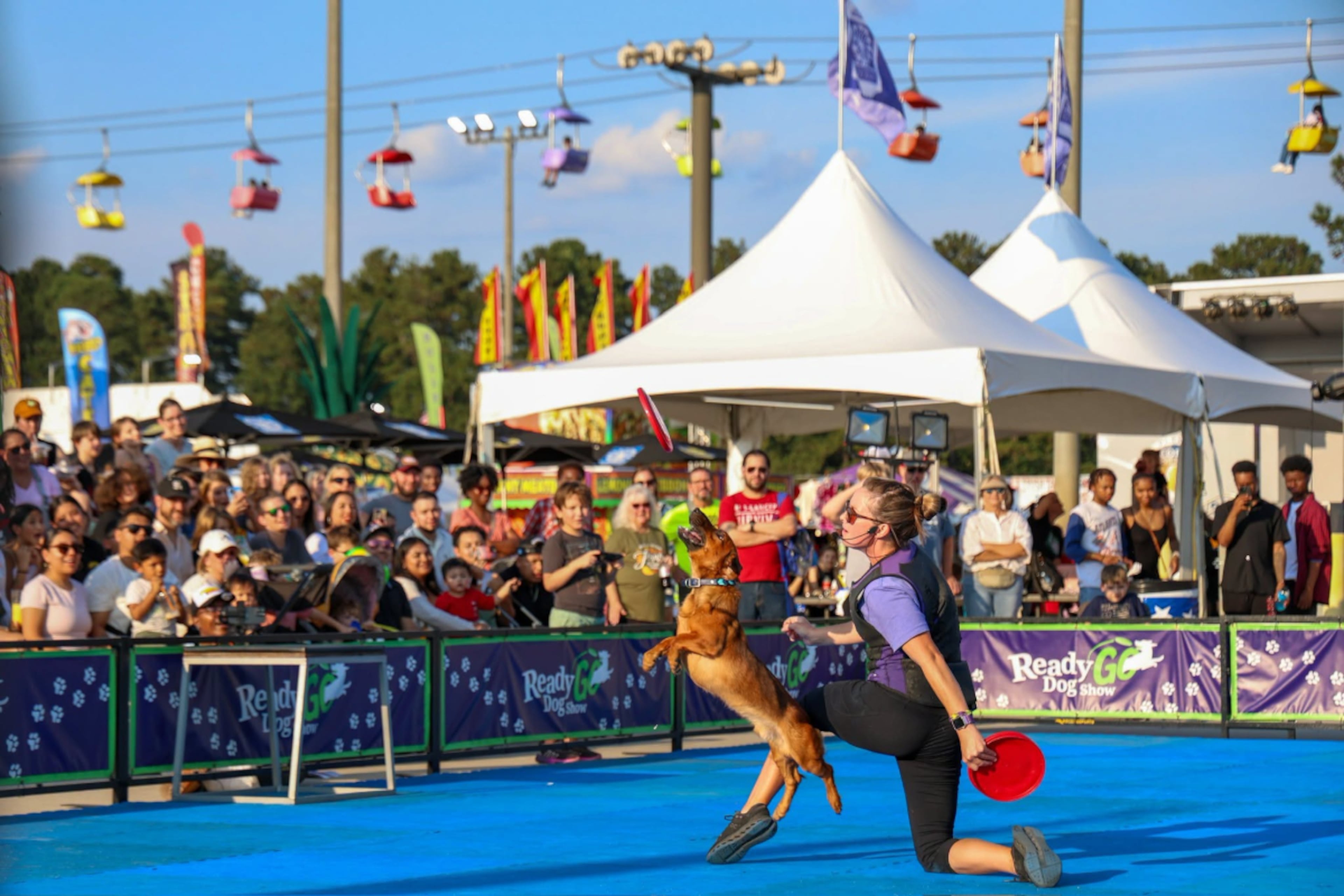 The Ready Go Dog Show brings high-energy tricks and amazing catches to the North Georgia State Fair. (Courtesy of North Georgia State Fair)