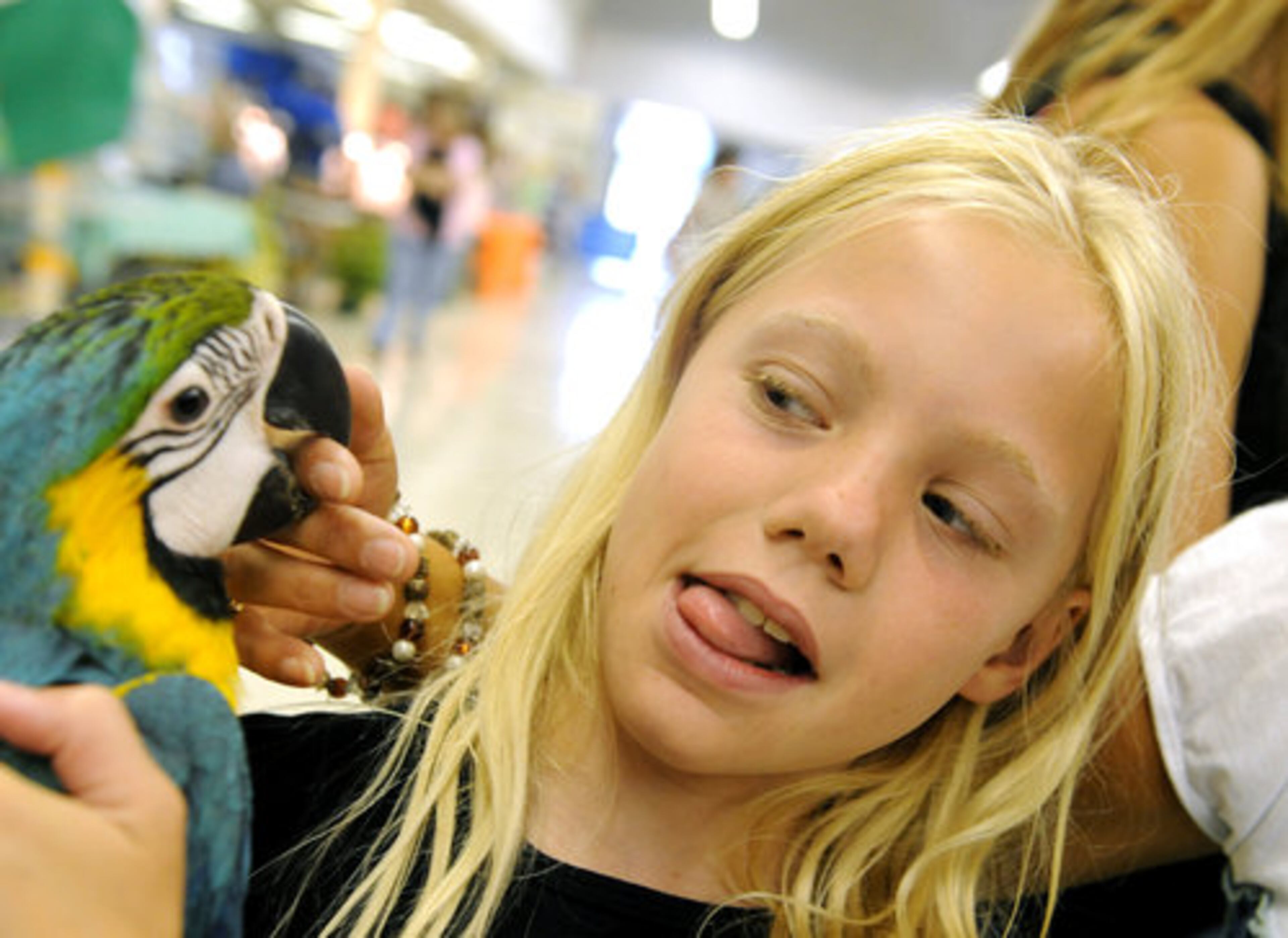 Catie Sain, 10, of Dunwoody, isn't sure she wants a macaw this close to her face.