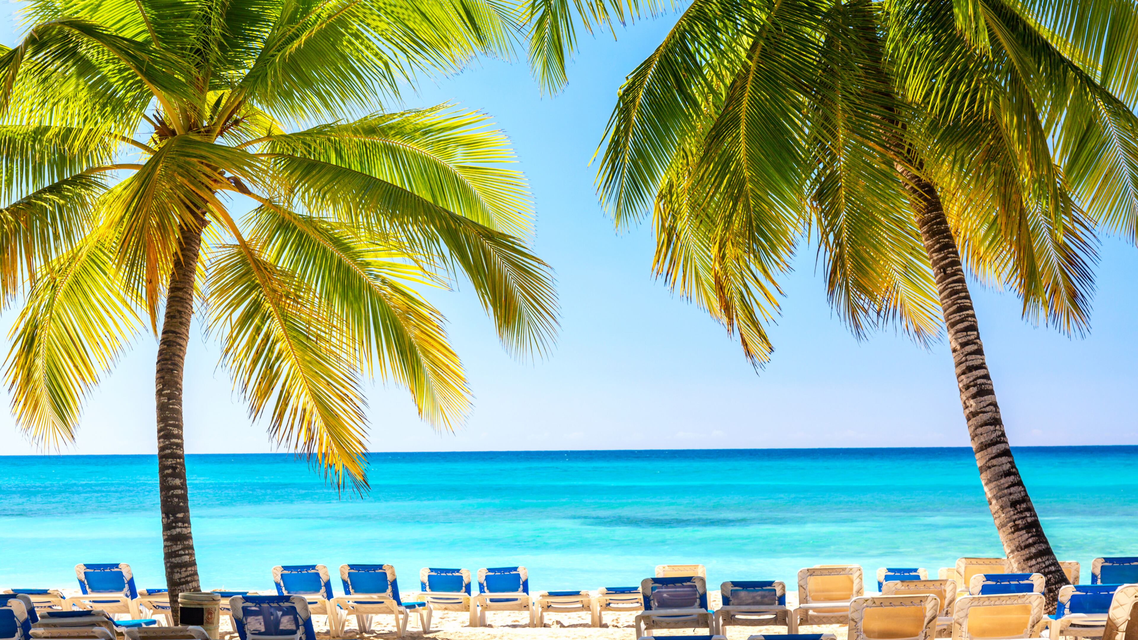 A beach with sun loungers and palms on Saona Island in the Dominican Republic. (Nikolay Antonov/Dreamstime/TNS)
