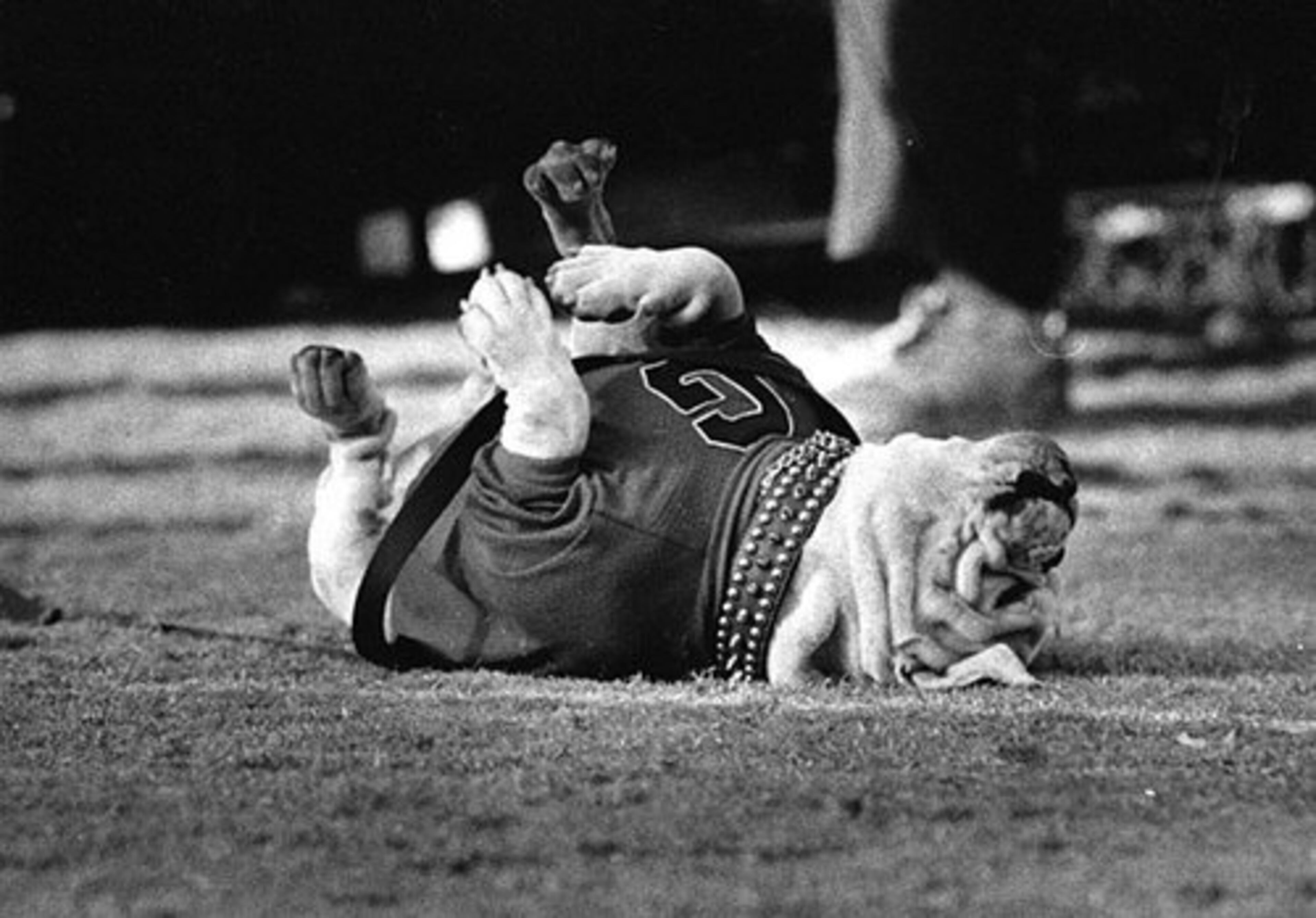 Uga IV: 1981-89, 77-27-4