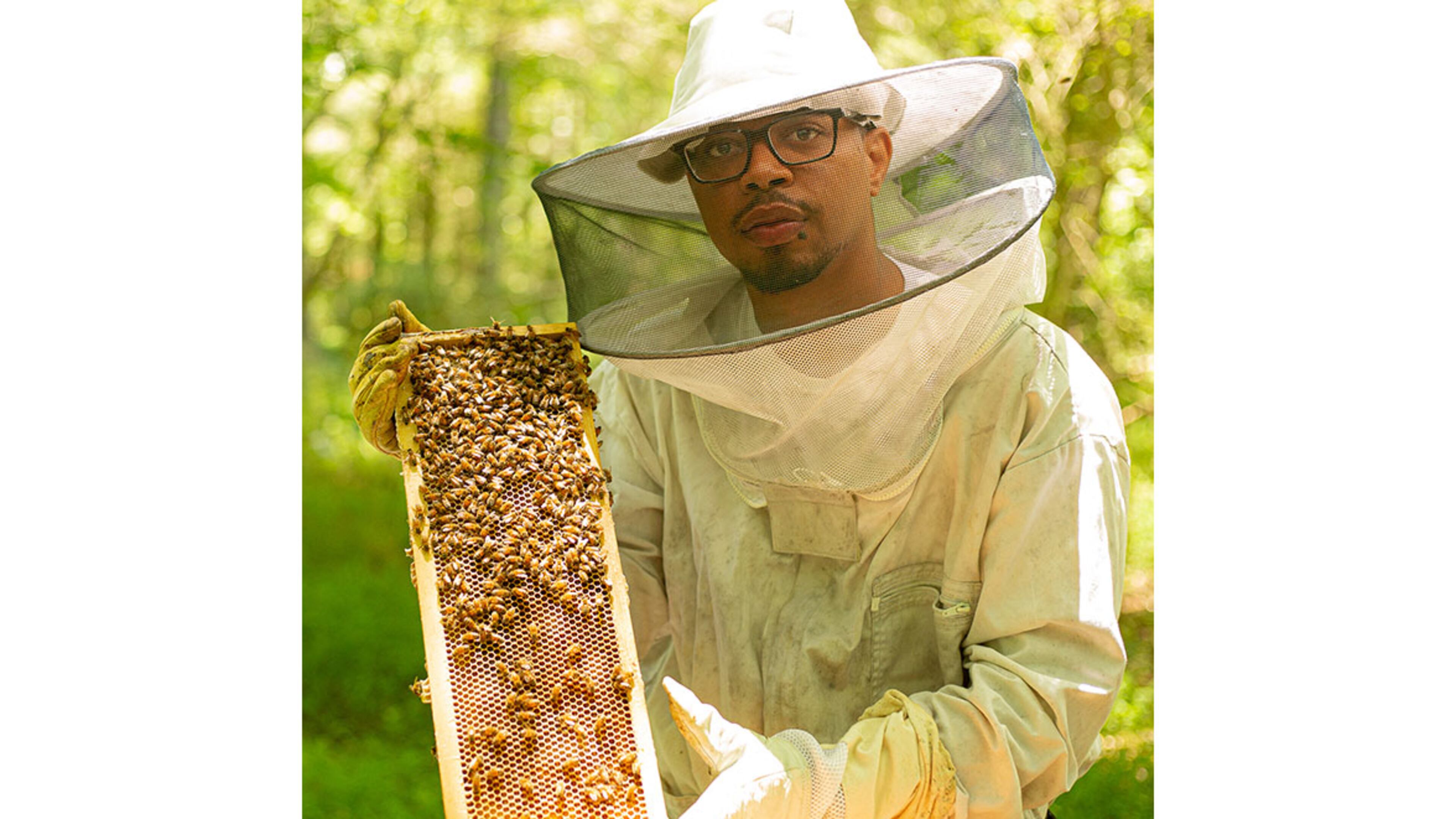 Armond Wilbourn of Noble Honey Company keeps 26 honeybee hives in a bee yard in Palmetto. /
Courtesy of Noble Honey Company