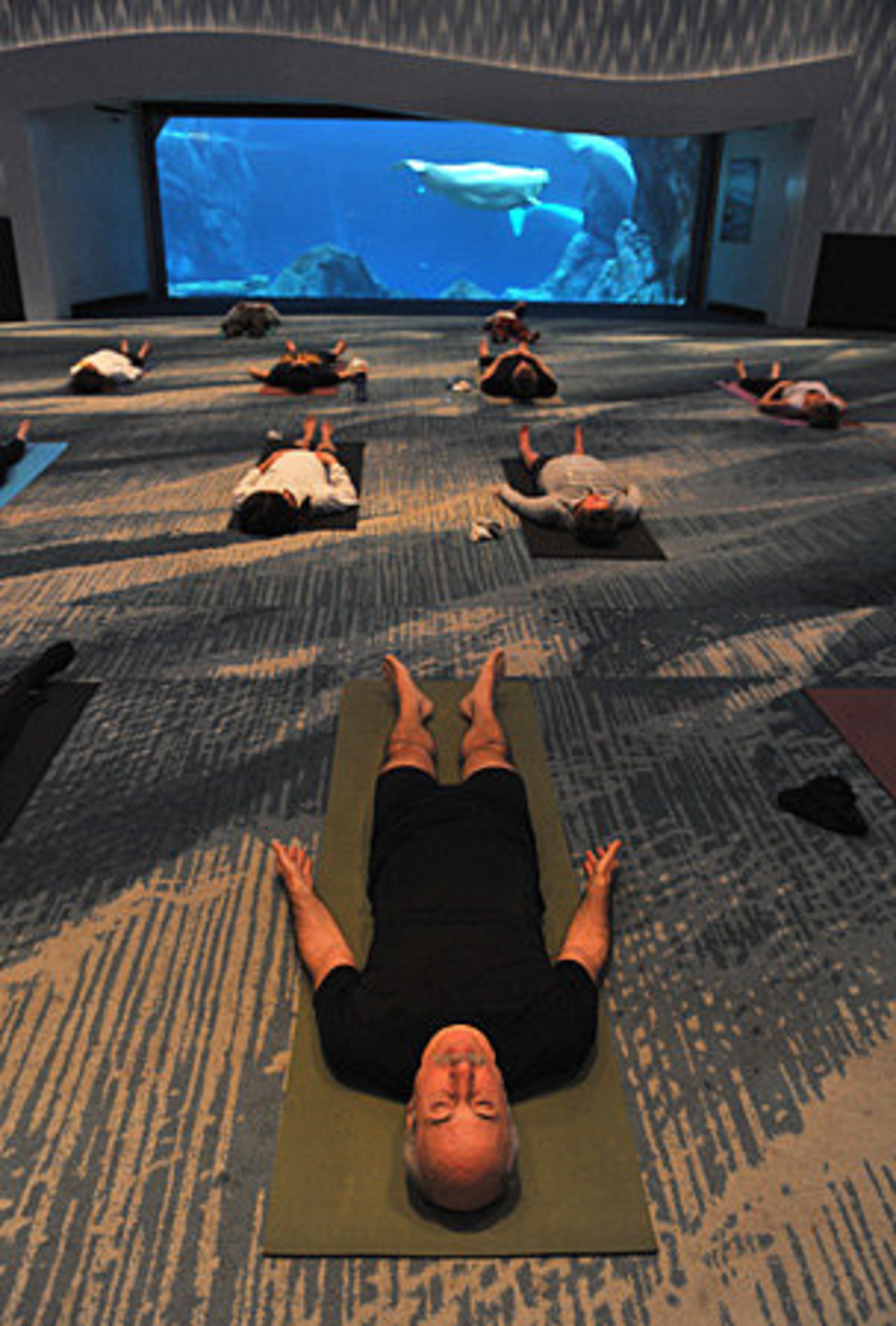 On Monday, Georgia Aquarium volunteers and others went through a 90-minute yoga class. Bob Altman lets the stress go during the relaxation portion.