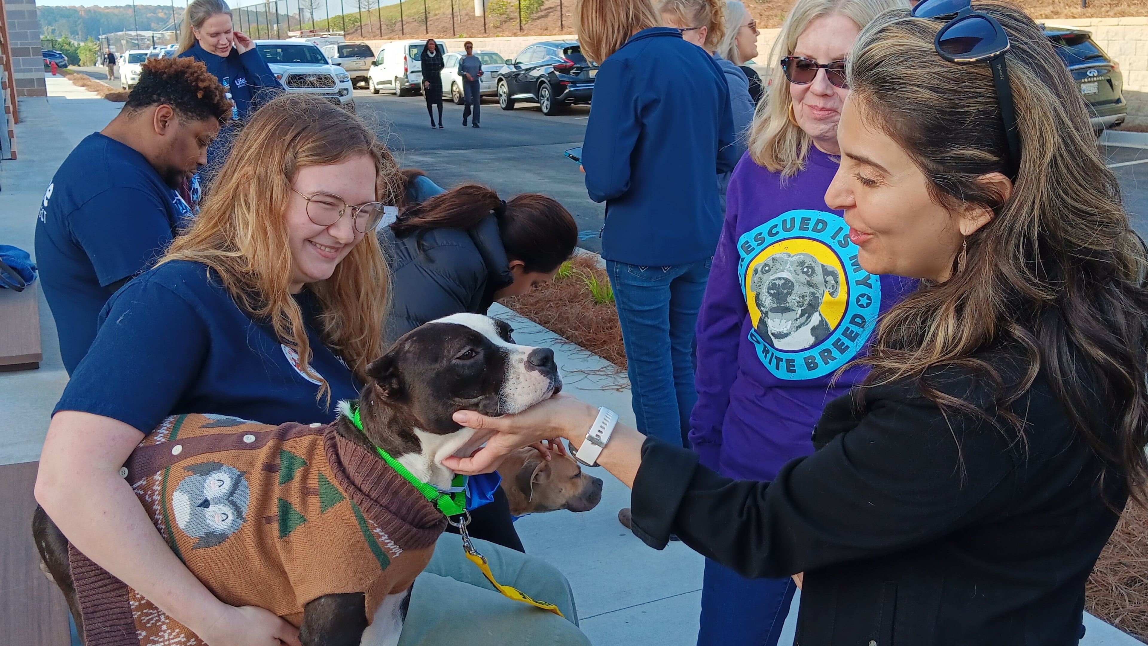 Visitors play with Denise, a 1-year-old pit bull mix, up for adoption at the Nov. 16, 2023, ribbon-cutting for the new Fulton County animal shelter.