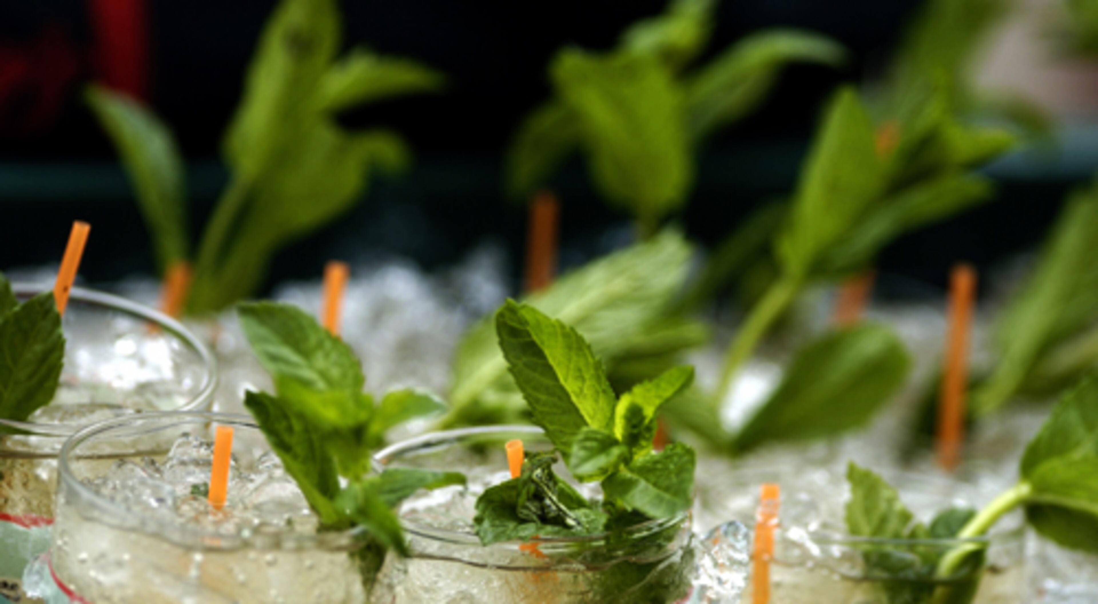 Mint juleps are a traditional drink at The Kentucky Derby and Derby parties. CONTRIBUTED BY THE LOUISVILLE CONVENTION BUREAU