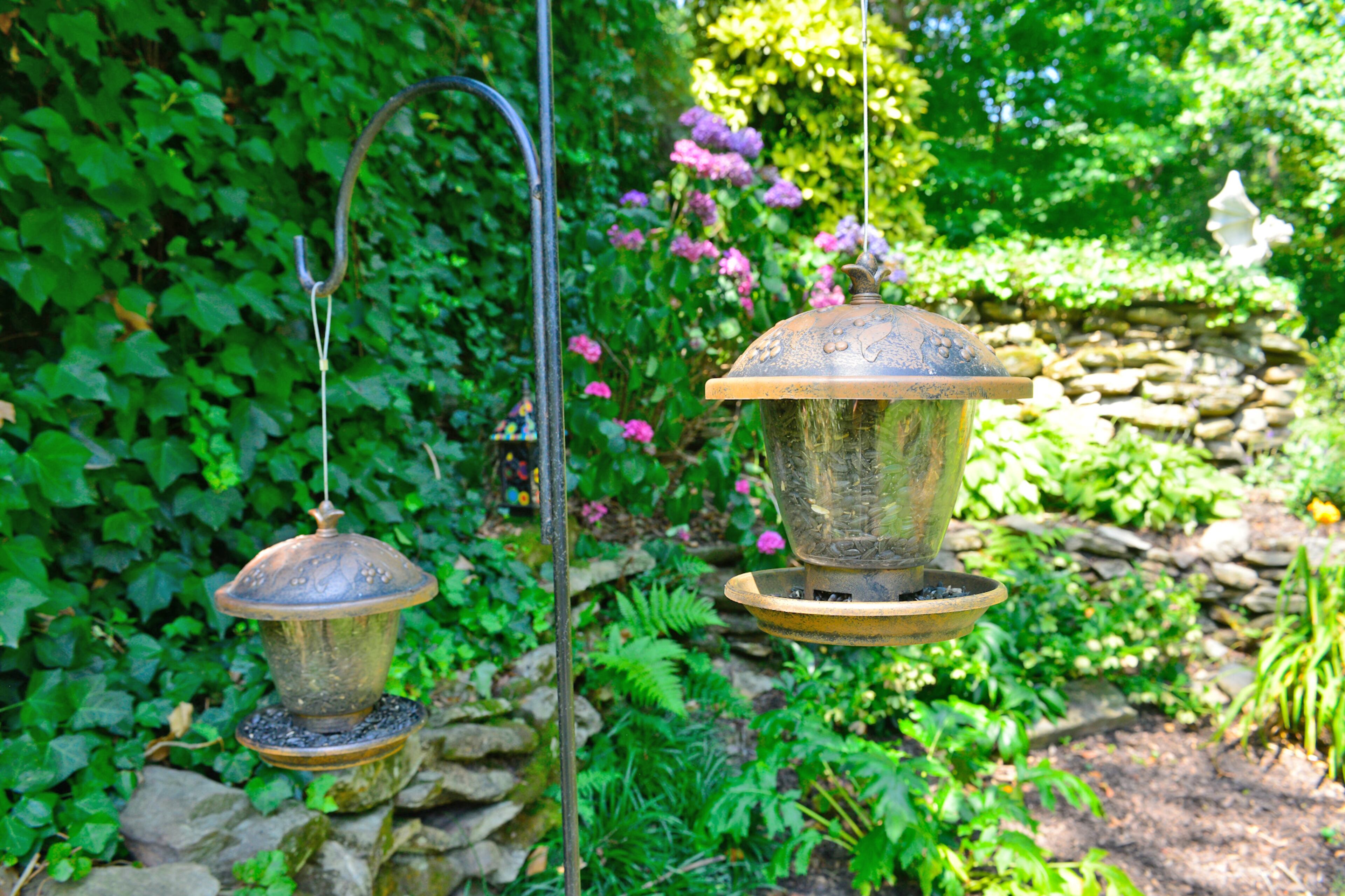 The couple removed trees and built the raised garden beds in their Atlanta backyard. They have planted cucumbers, tomatoes, zucchini, basil, onions, radishes, yellow squash, dill and green bell pepper.