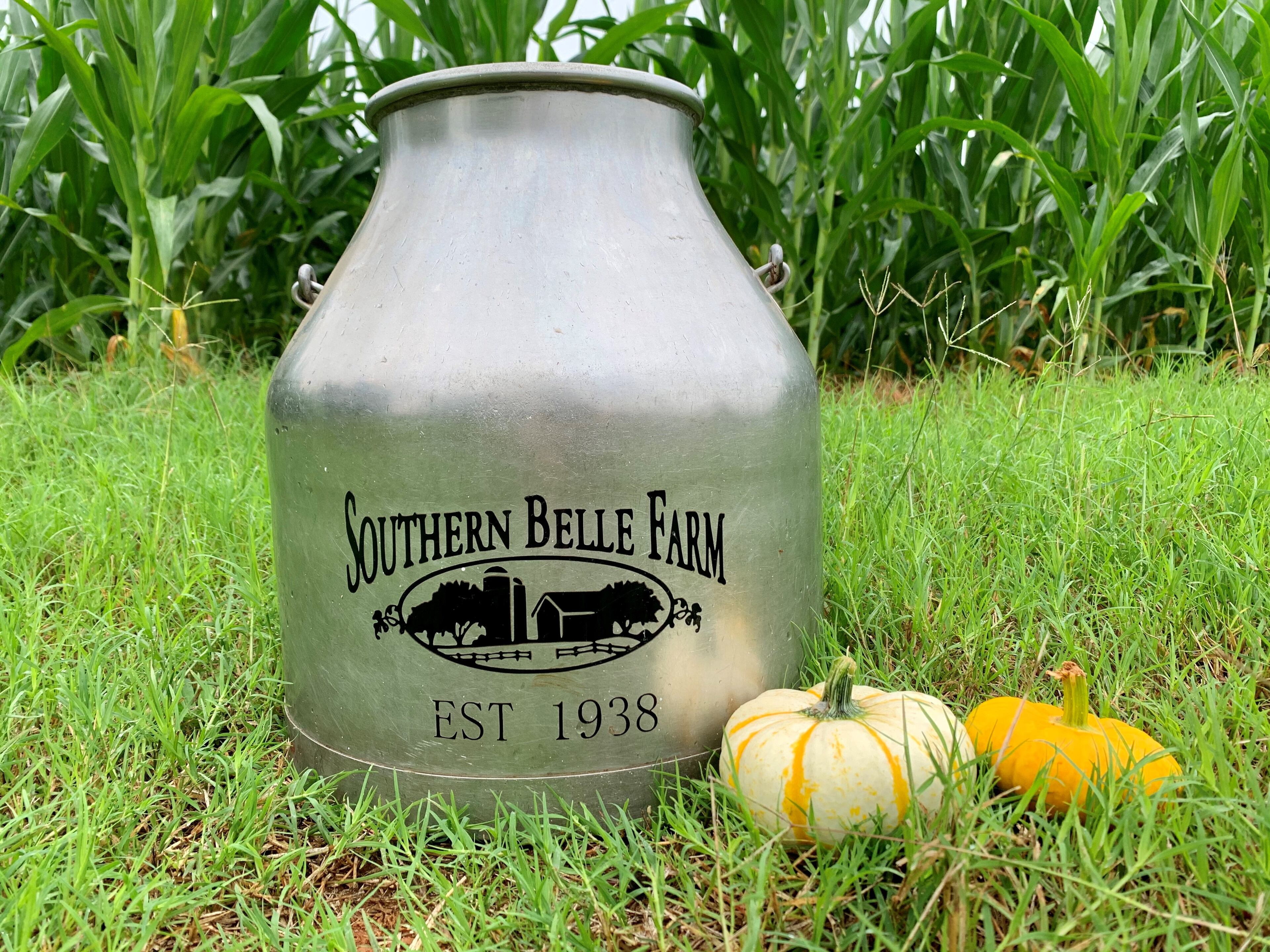 Southern Belle Farm's activity admission includes access to their 4-acre corn maze, pumpkin patch, cow train ride, slides, jumping pillow and more.
Courtesy of Meghan Threadgill/Southern Belle Farm