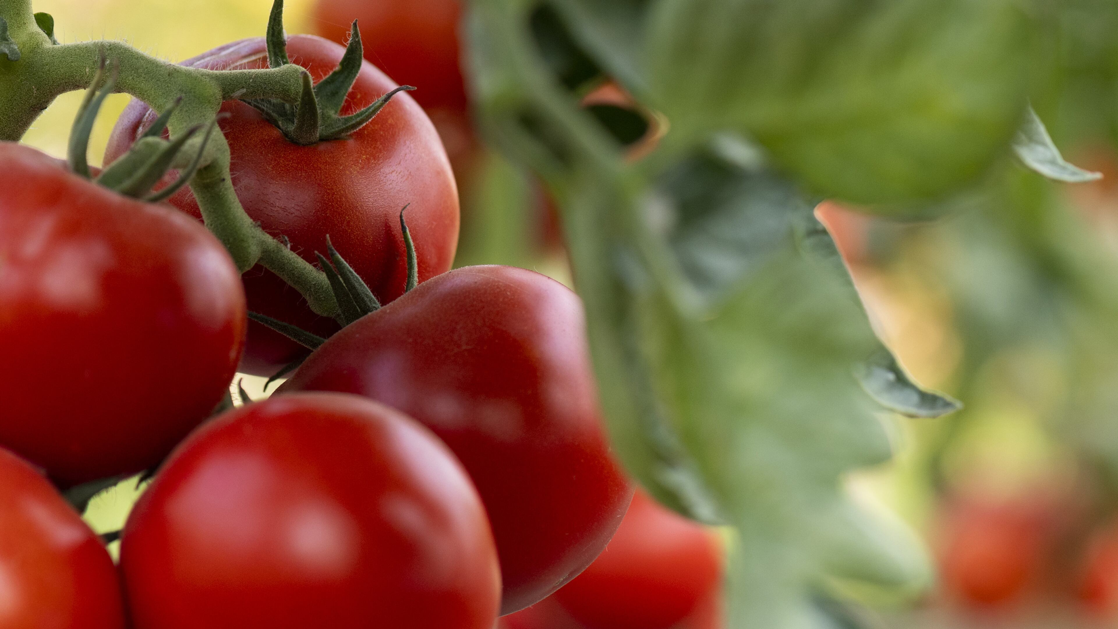 Alpharetta wants residents to share information on their food choices and lifestyle habits around healthy eating in an online survey. (Dreamstime/TNS)