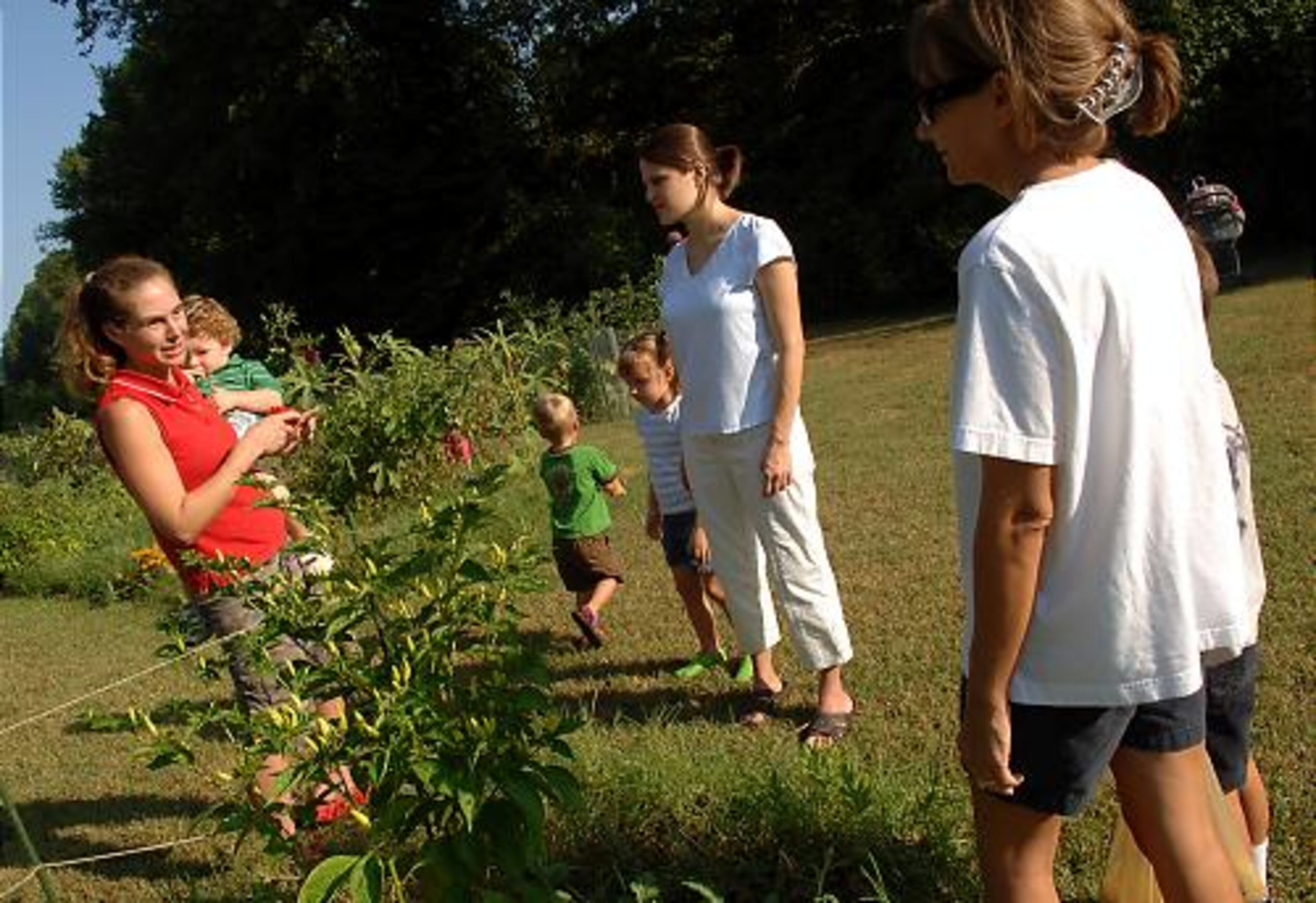 Community gardeners Beth Lloyd (center), Heidi Rizzi (right), and Jane-Gower Turner (left) talk about their gardens.