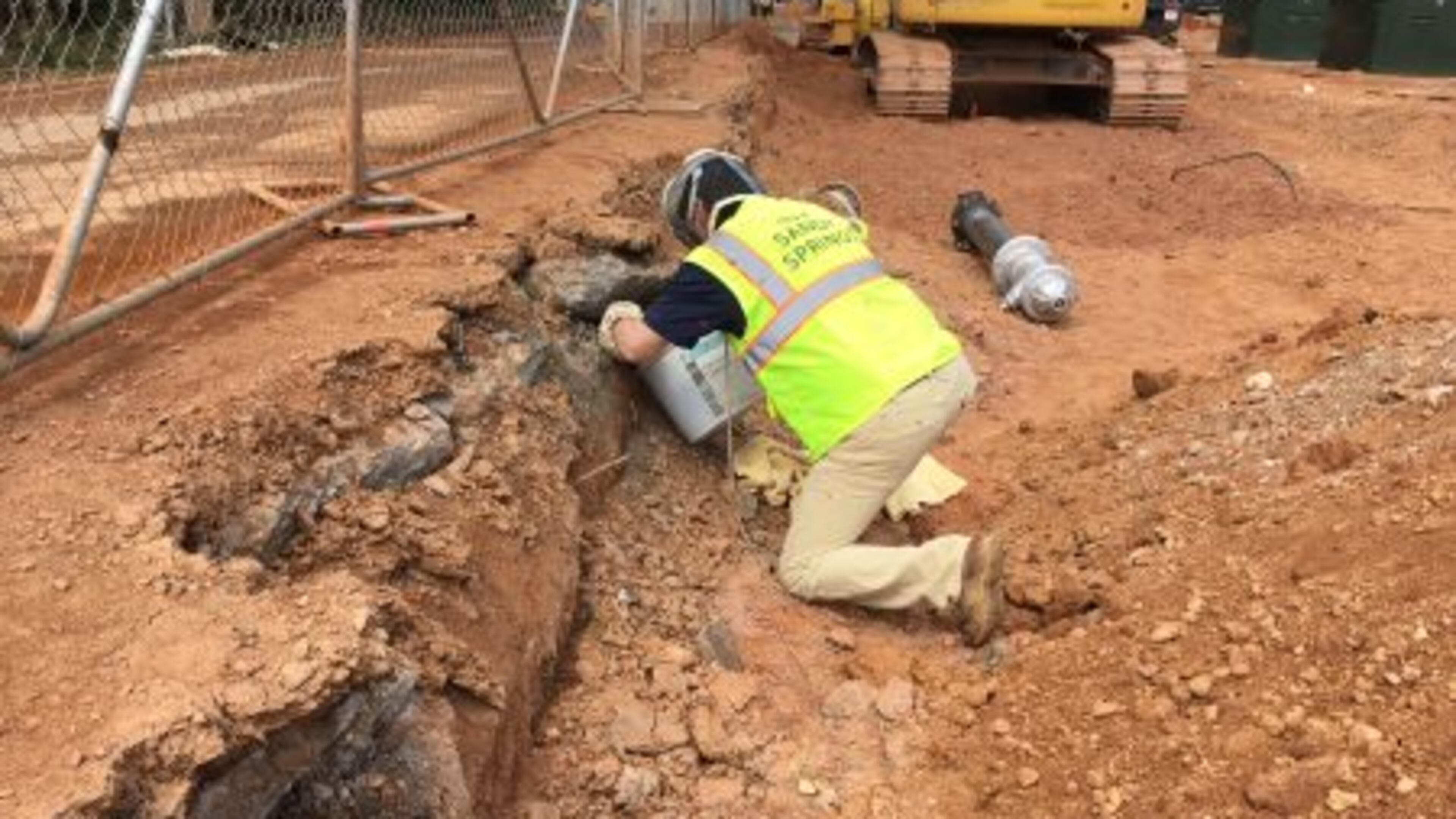 Mayor Rusty Paul helps clear a swarm of bees from a Sany Springs construction zone. (Credit: City of Sandy Springs)